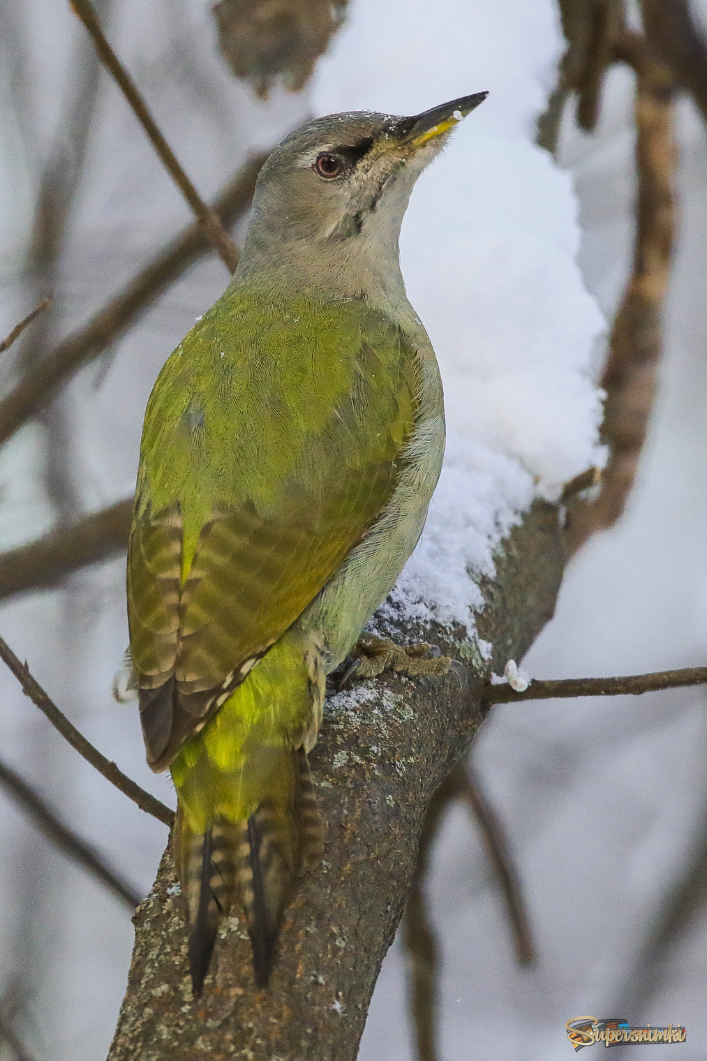 Умный взгляд