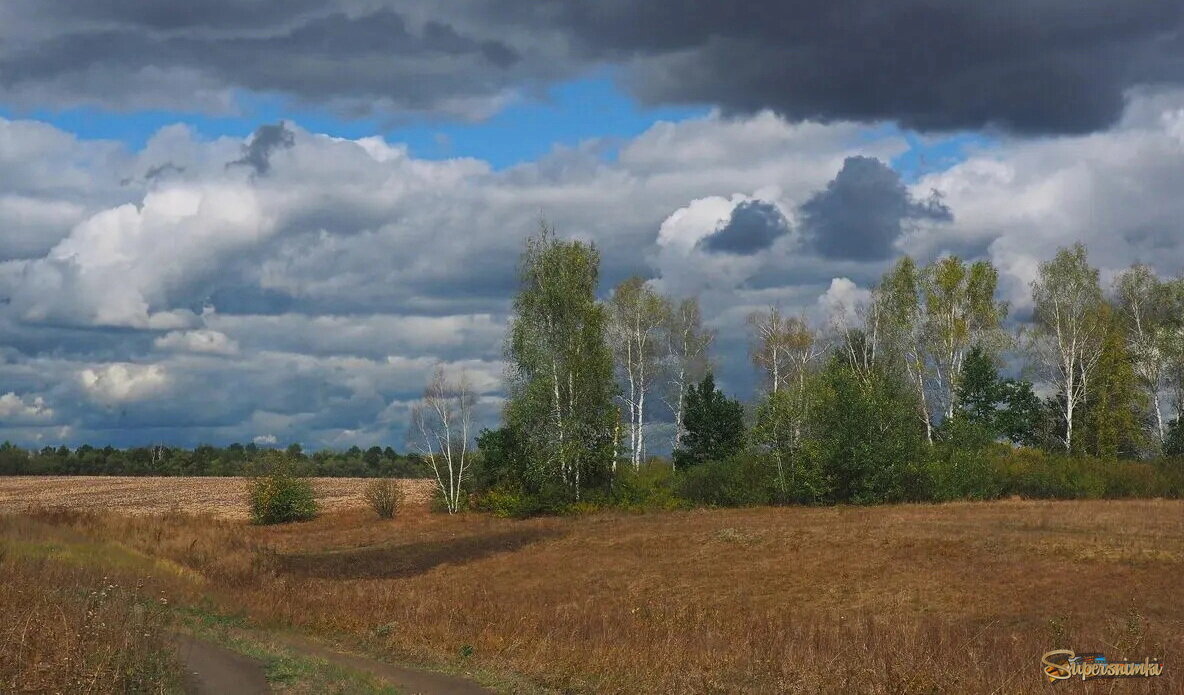 Просторы тамбовщины