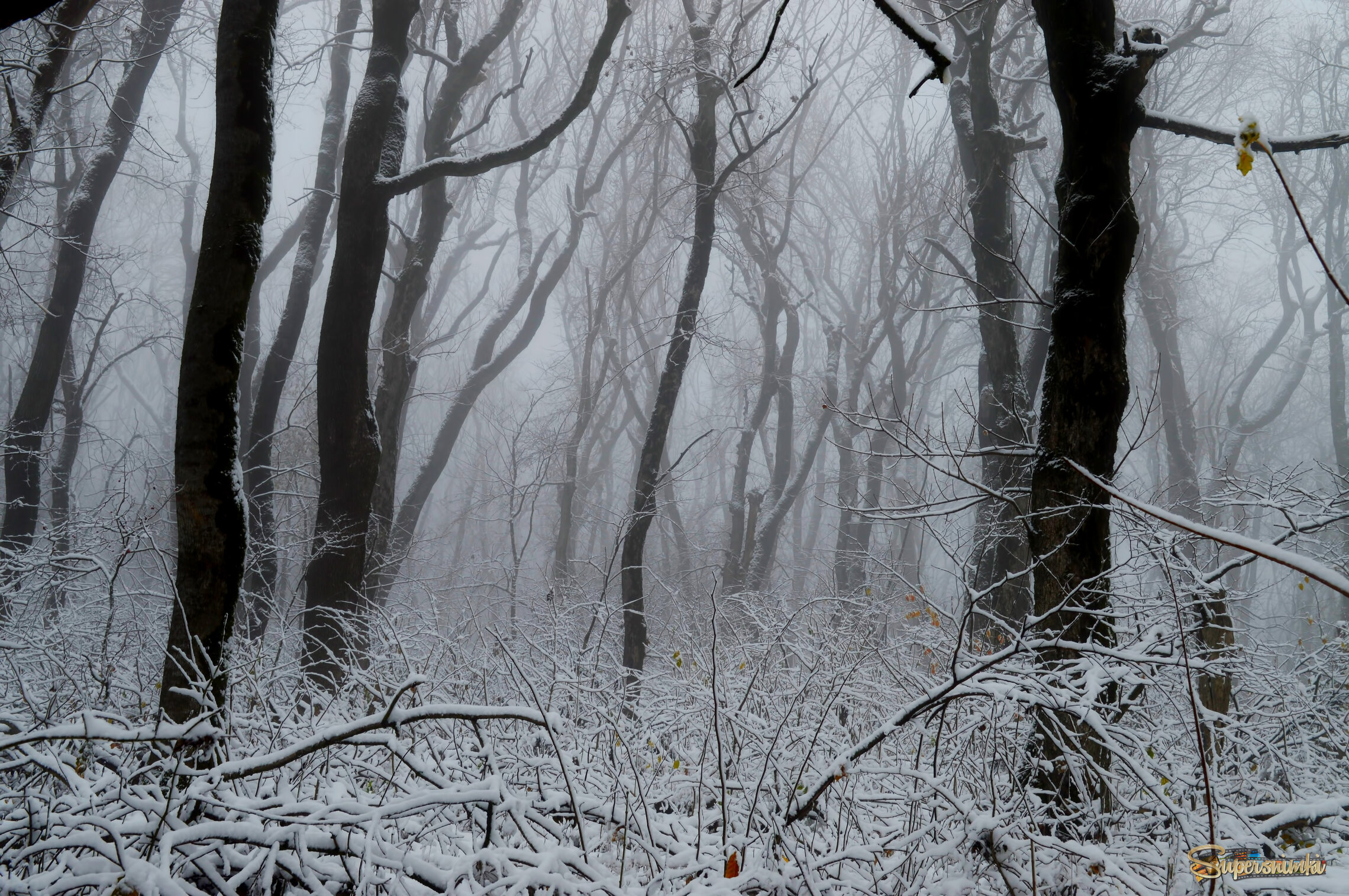 Утро в осеннем лесу.......