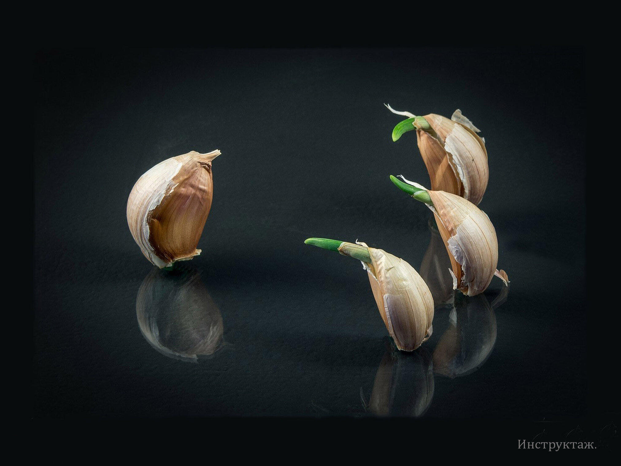 Инструктаж. С первым апреля!