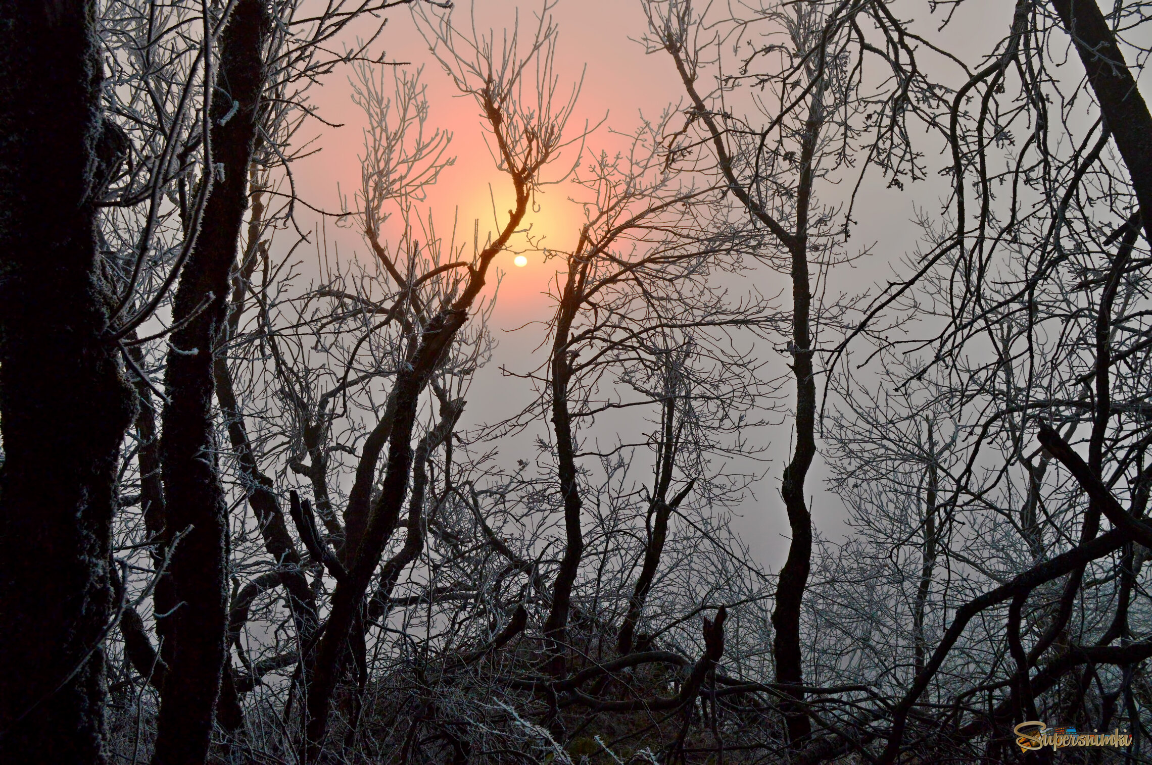 Холодное утро......