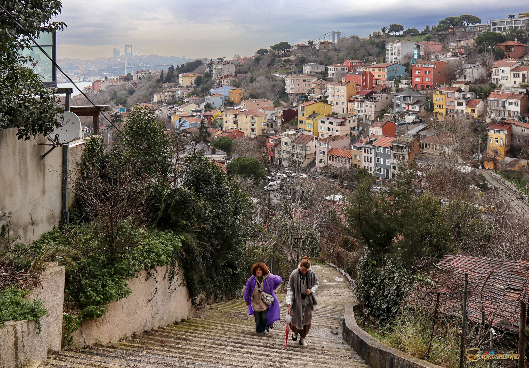 То вверх, то вниз   