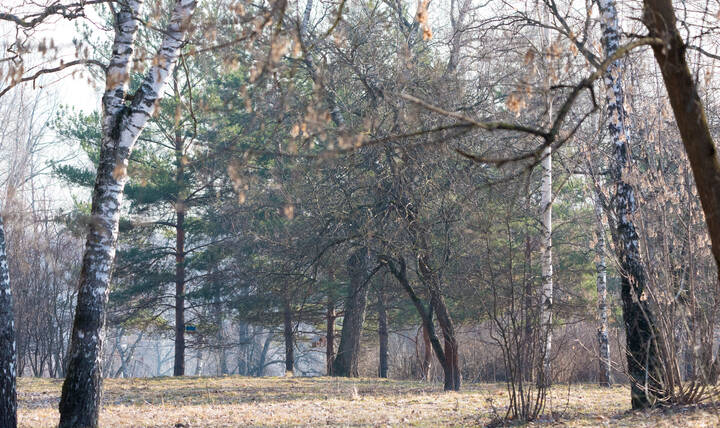 Весна.
