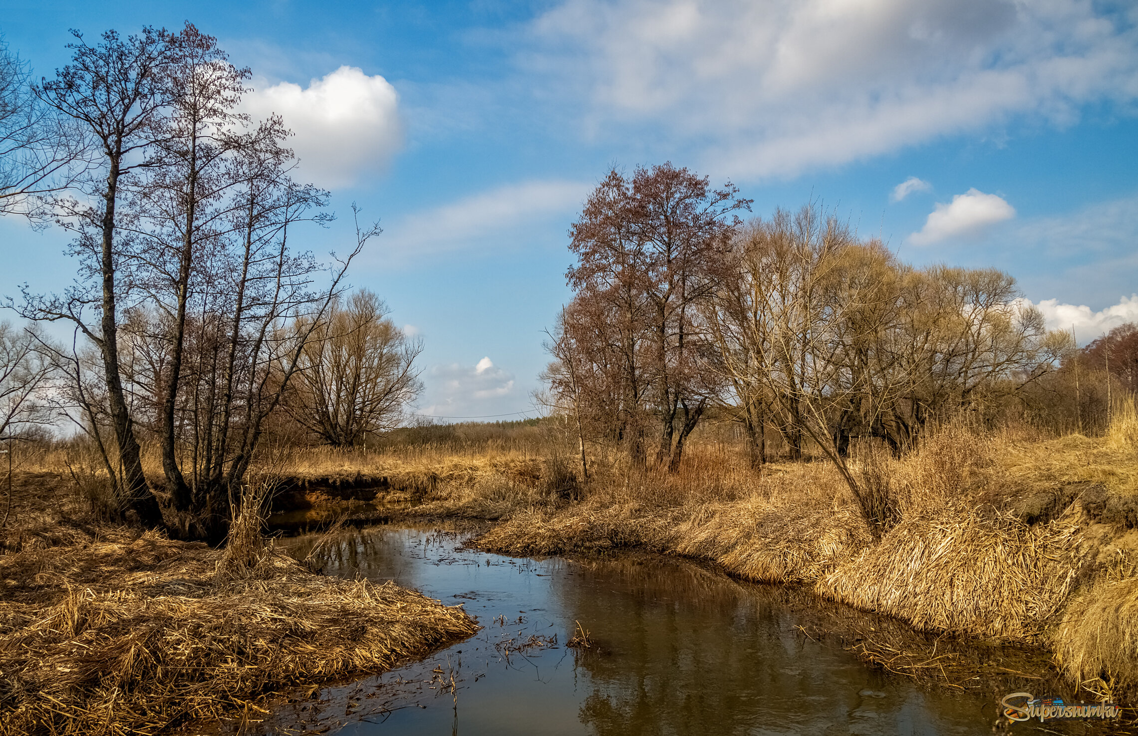Весна набирает обороты 5