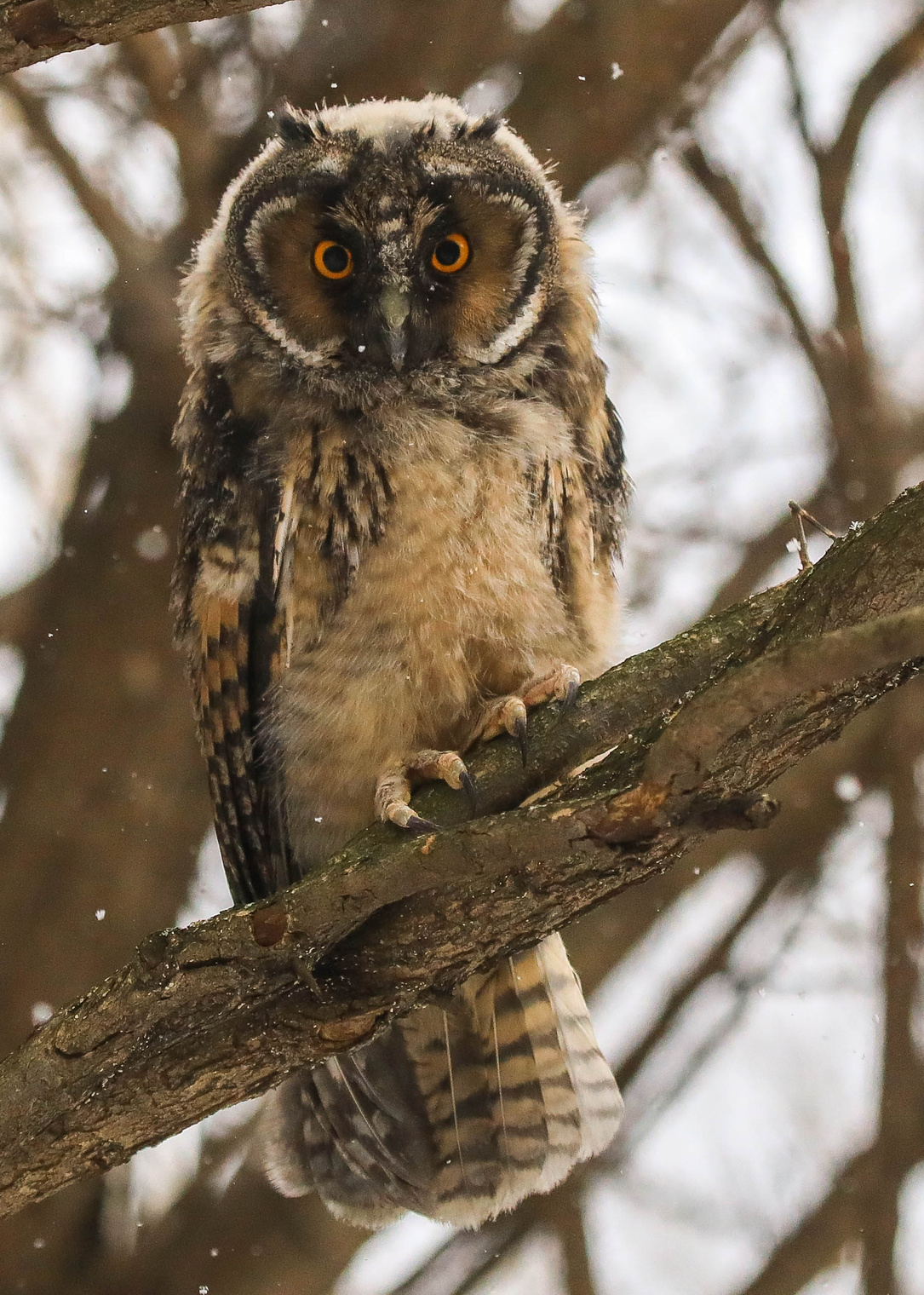 Хм...Странно... 