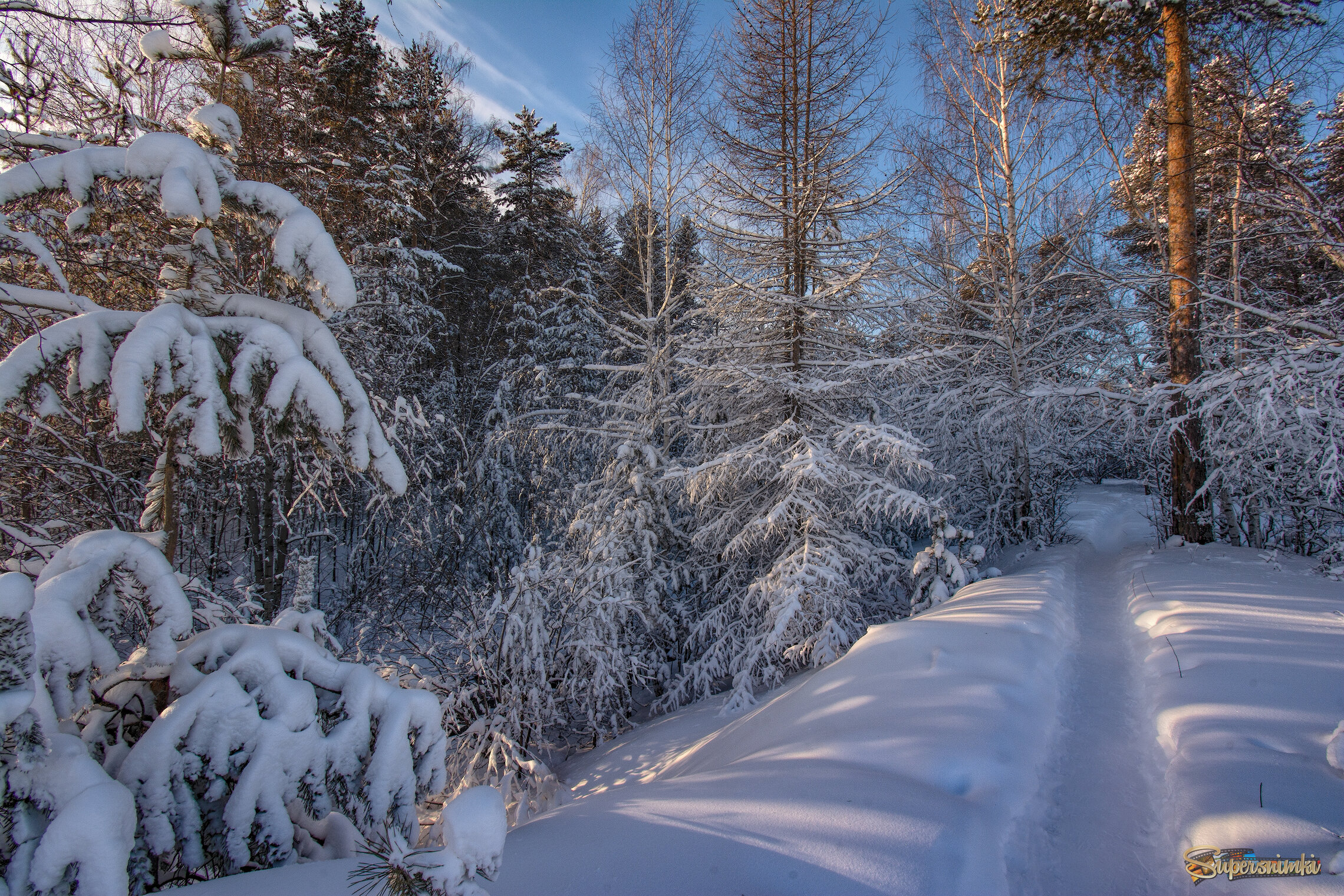 Зимняя тропа 