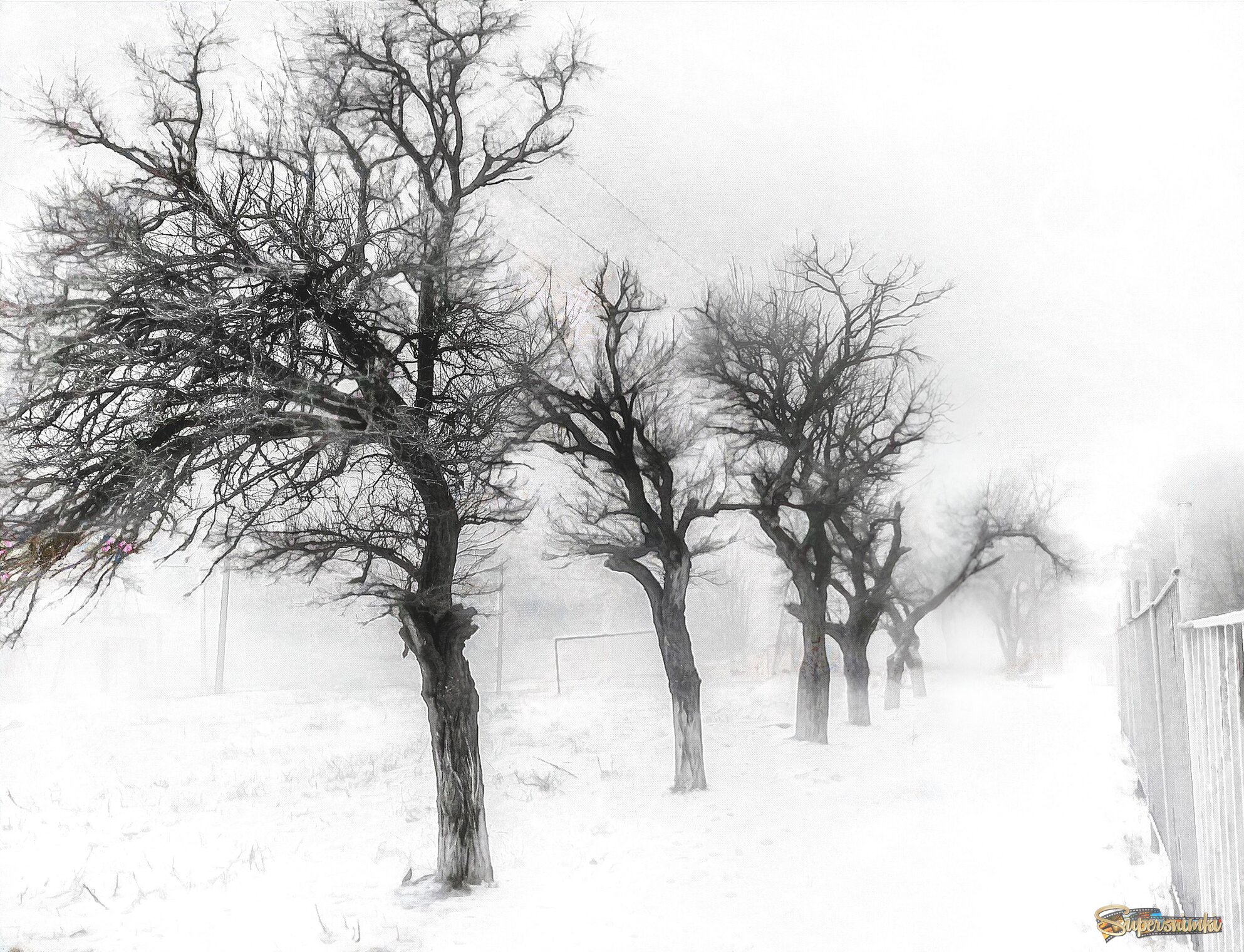 Ждут весну.