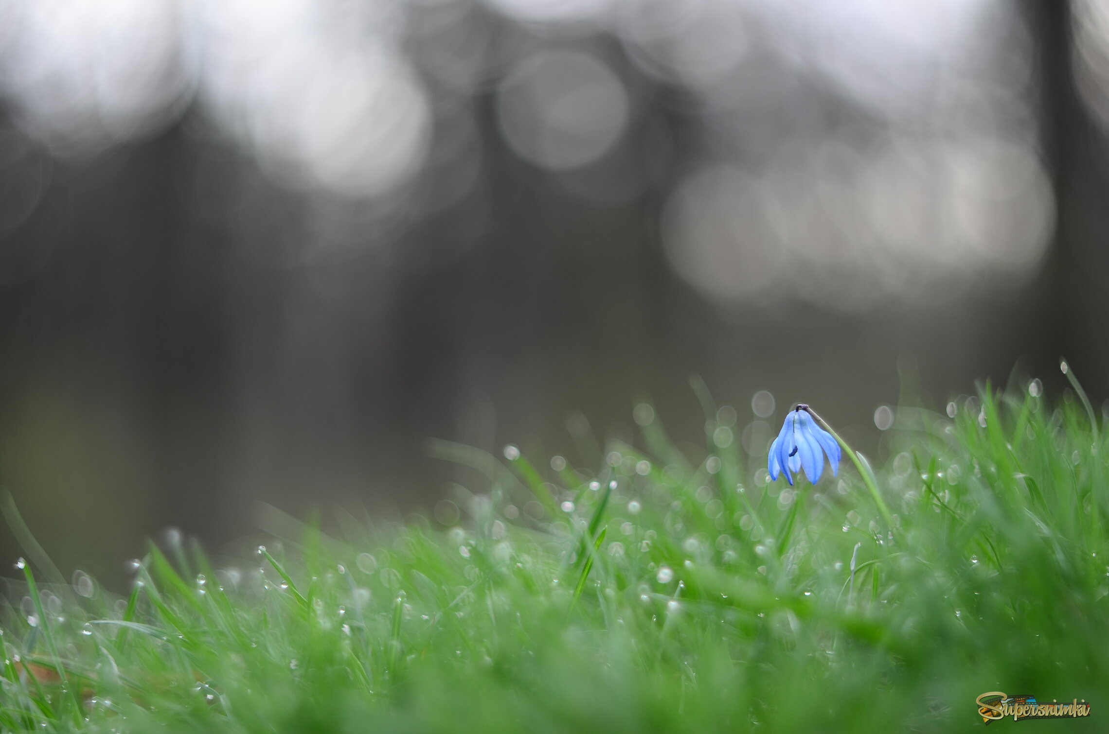 Апрельское утро 