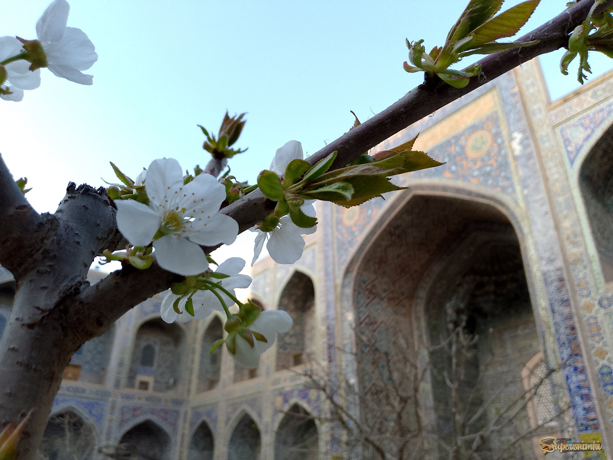 Весна в Самарканде