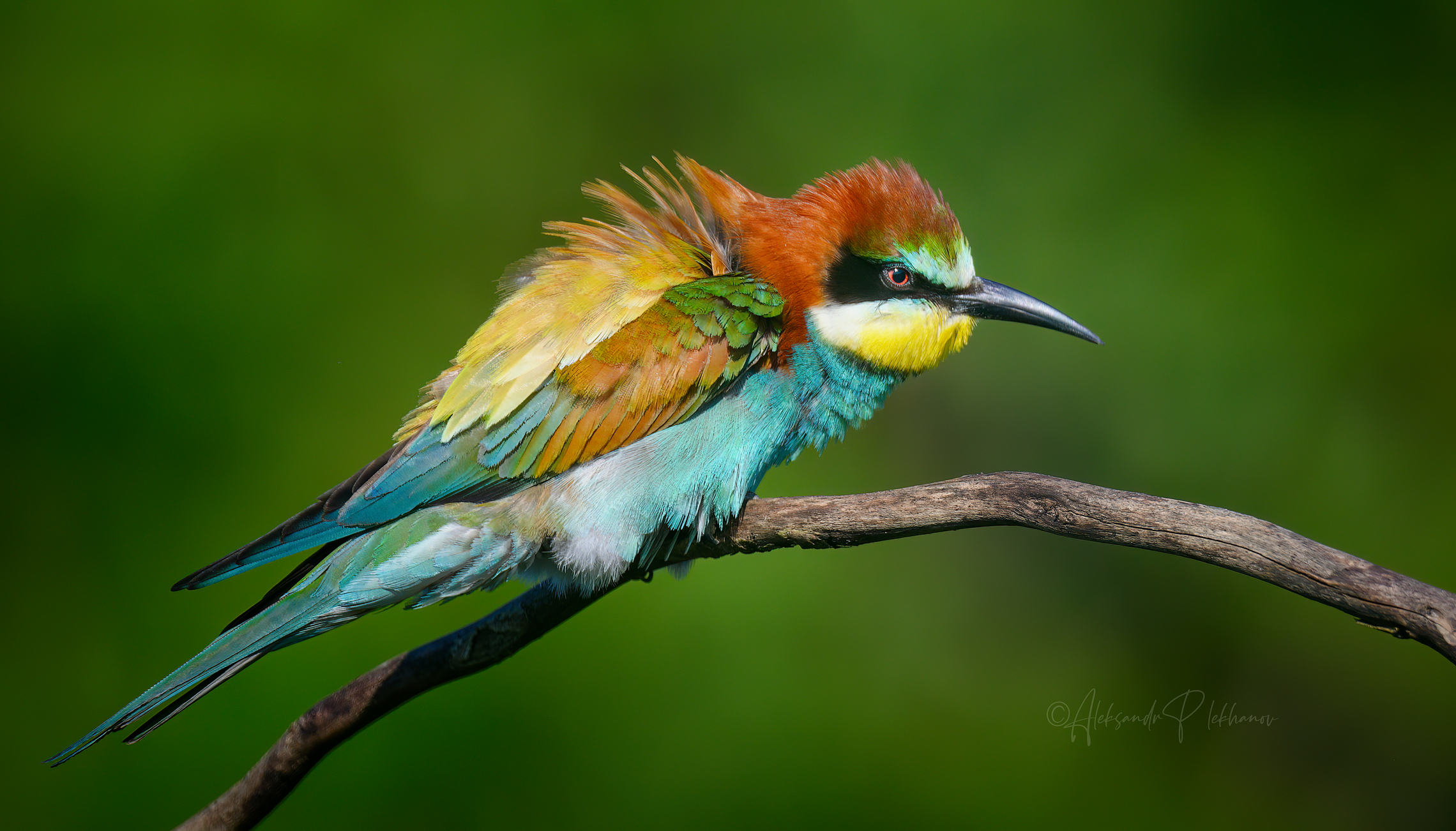 Детали и краски