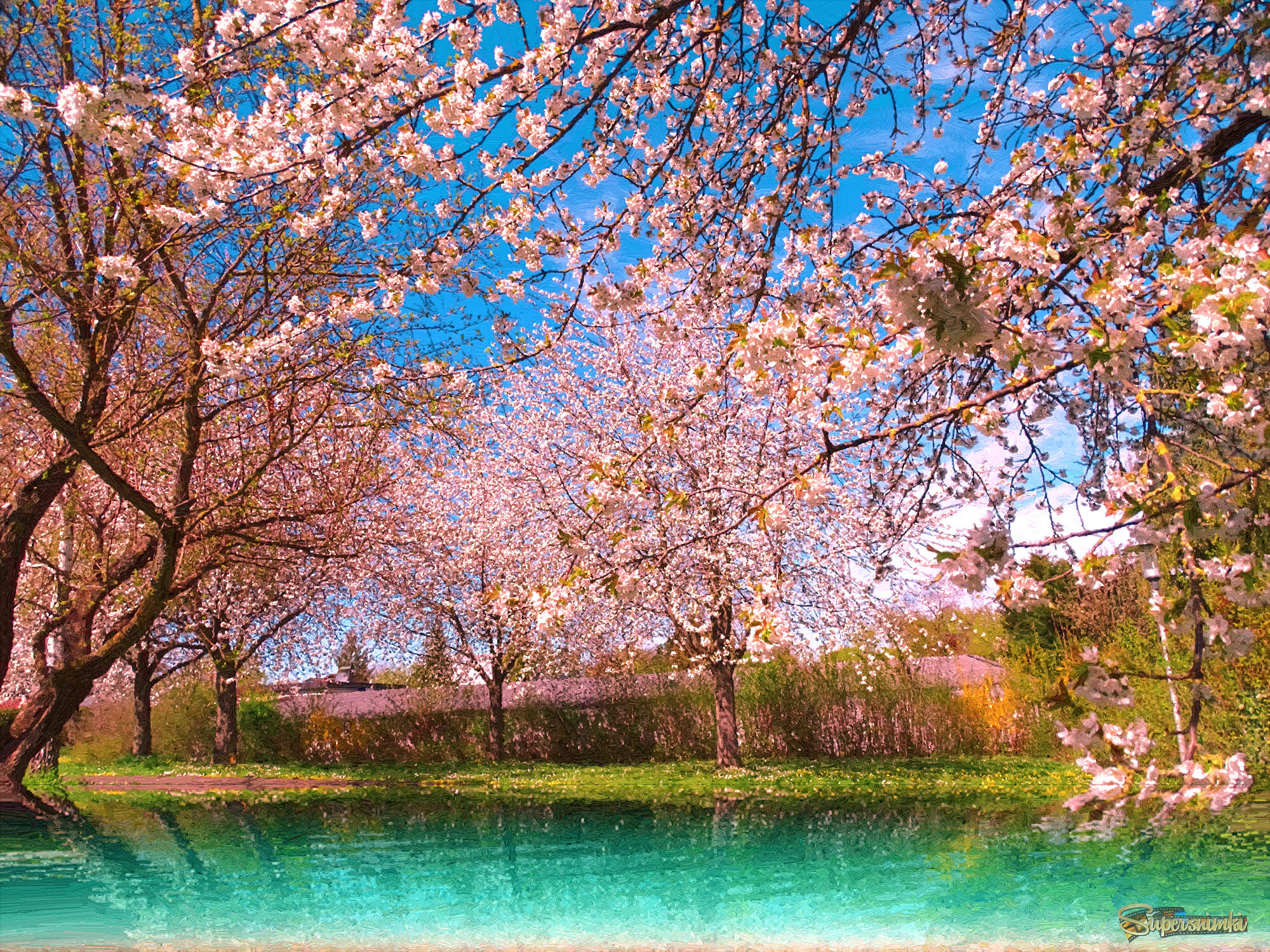 67f38749e283d14537d6398e