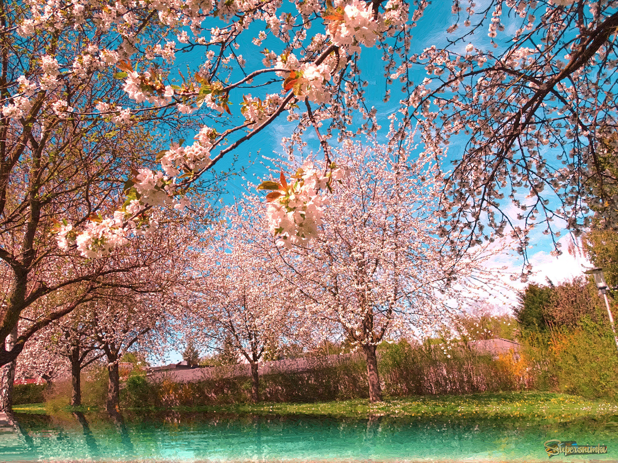 67f3875a8f91934cadd6398d