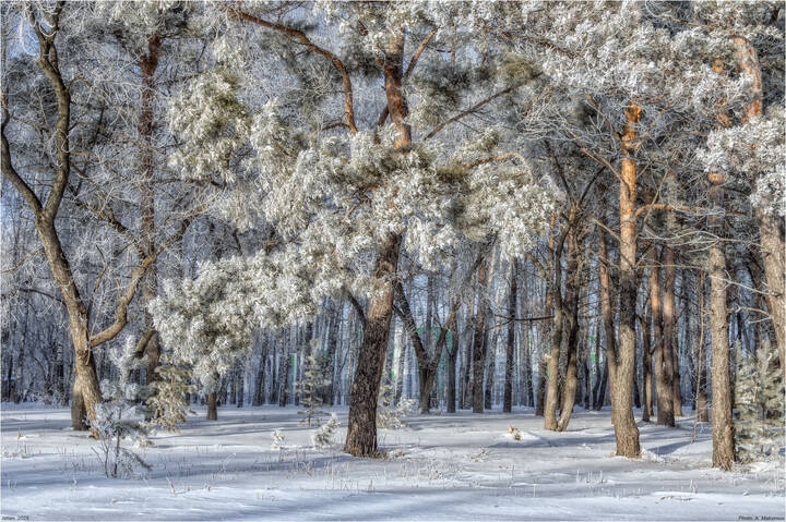 Куржачок.
