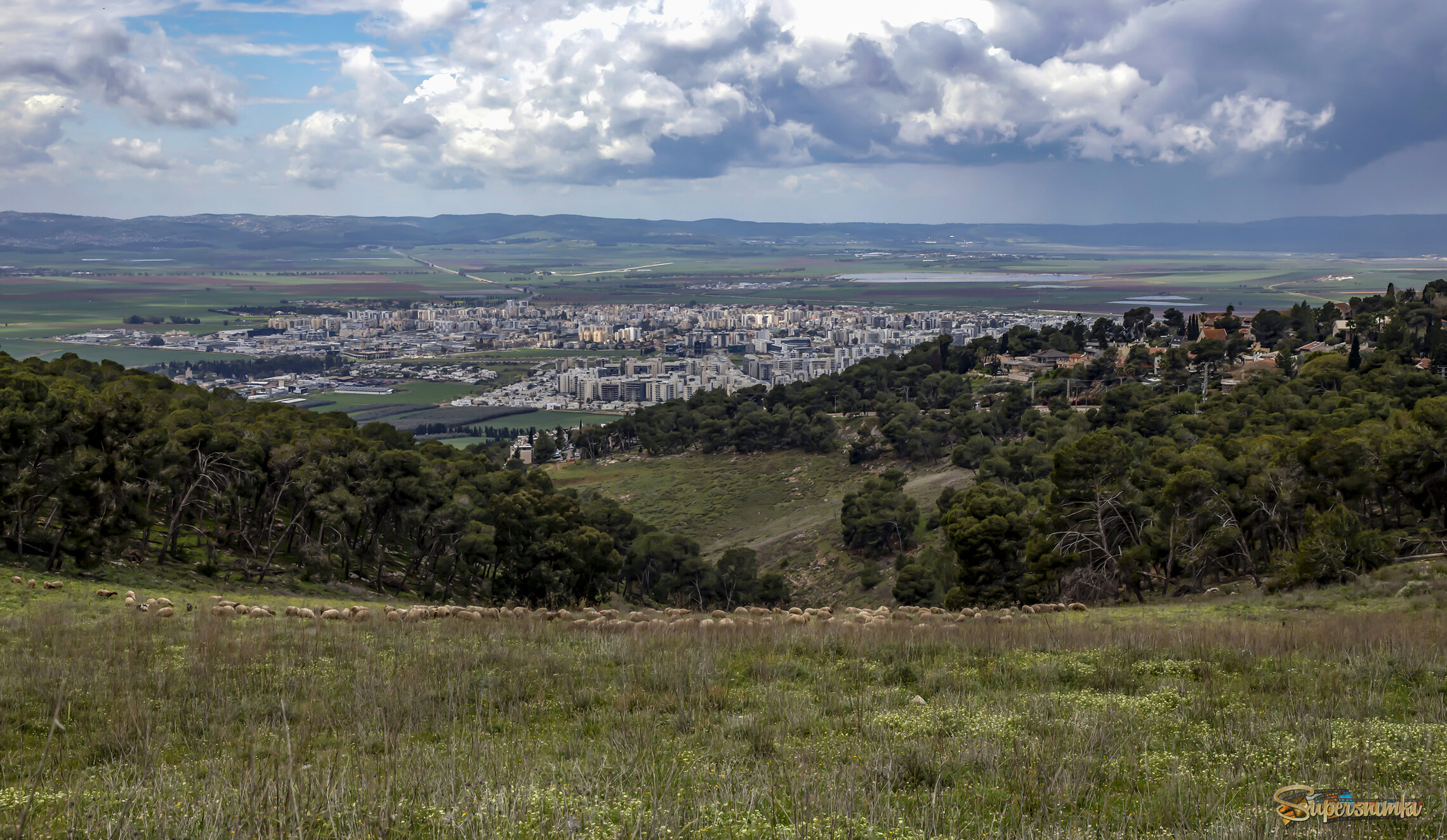 На склоне гор