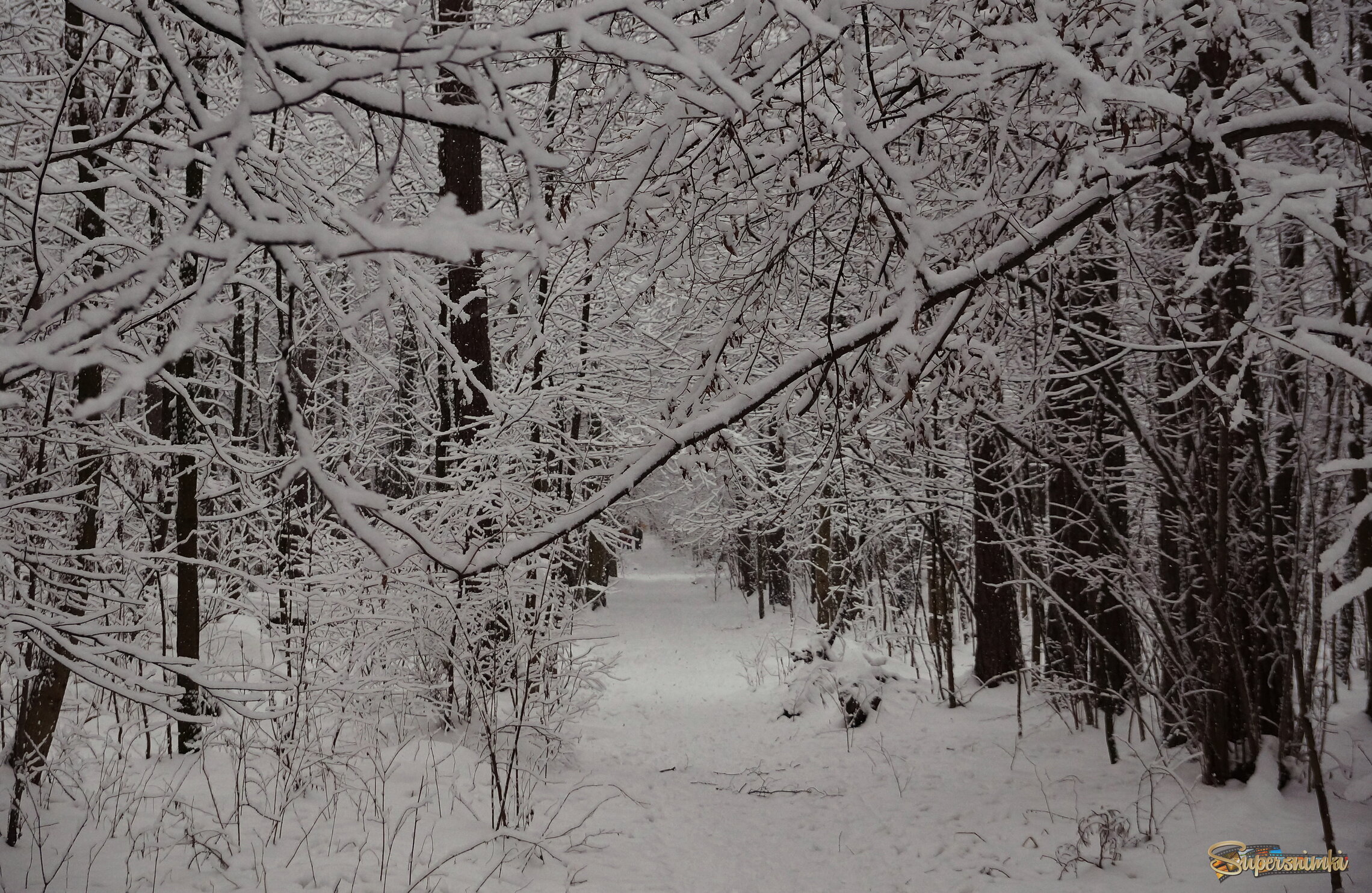 Апрельские шутки
