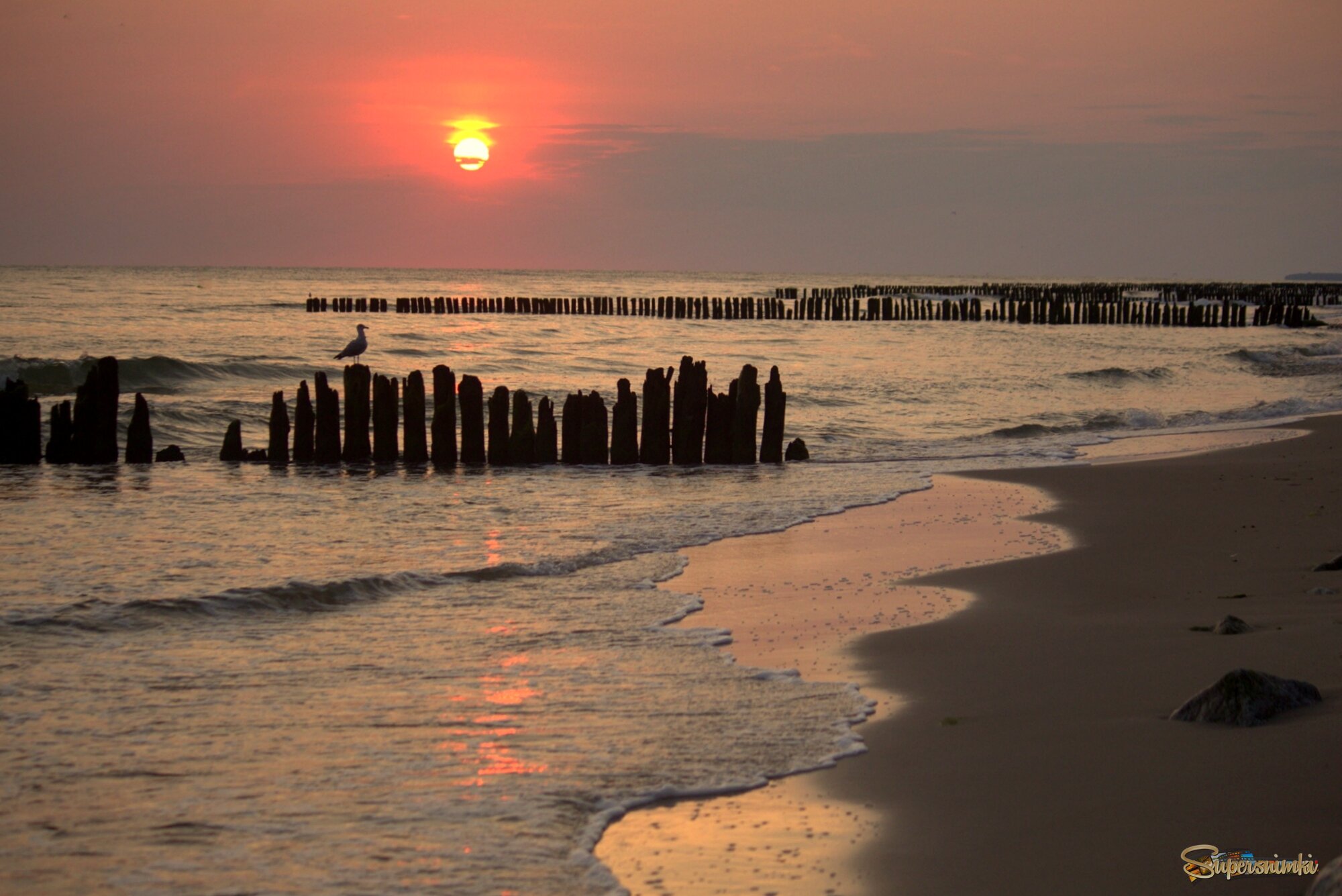 Балтийский рассвет