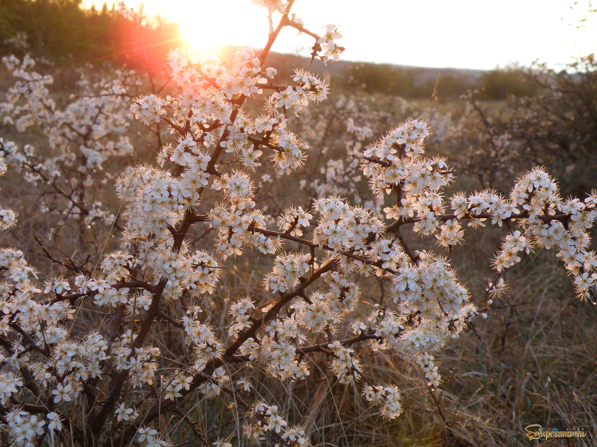 67f624ed5a8cf3a4dfd6398d