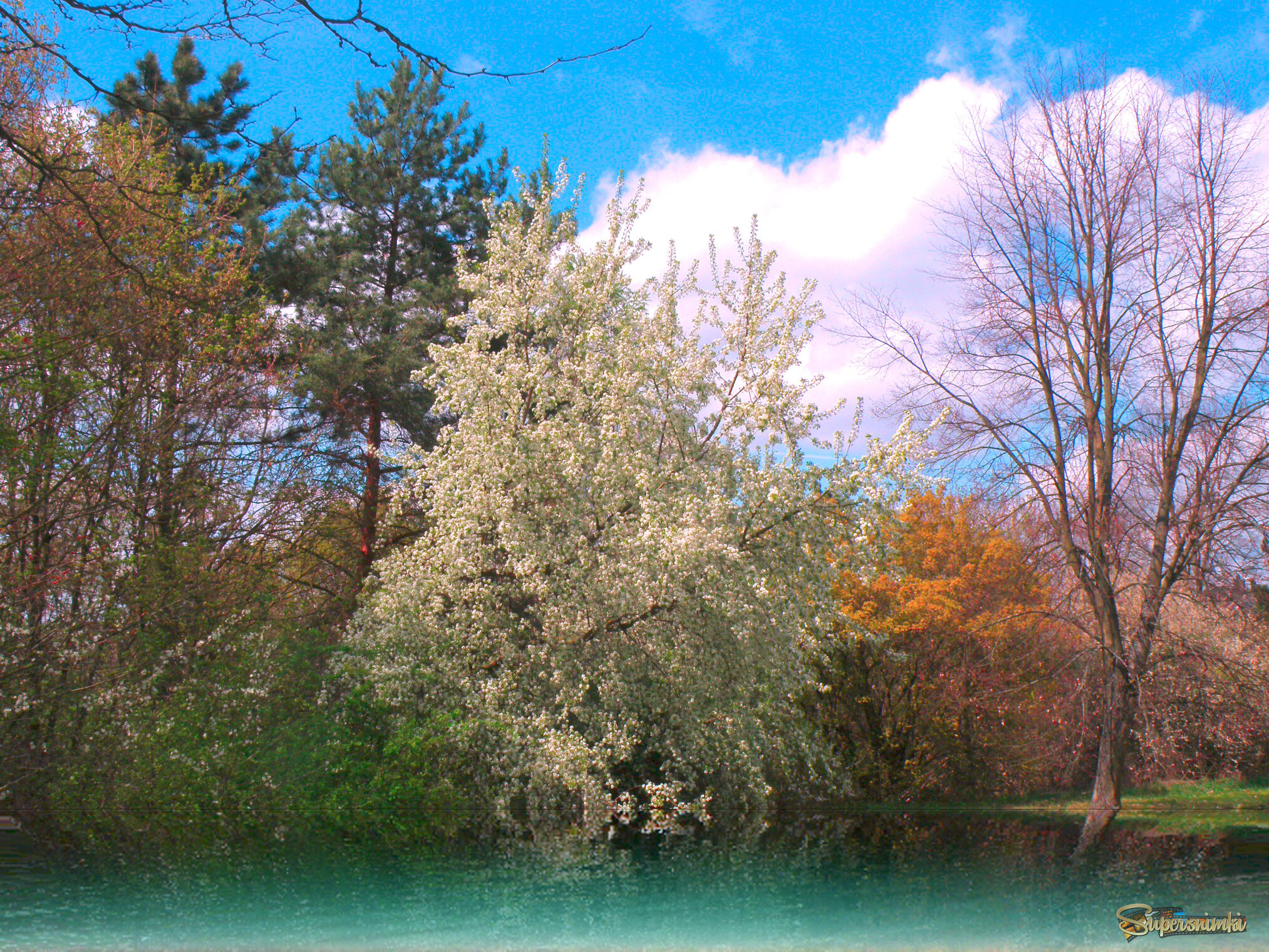 67f625027577039fefd63991