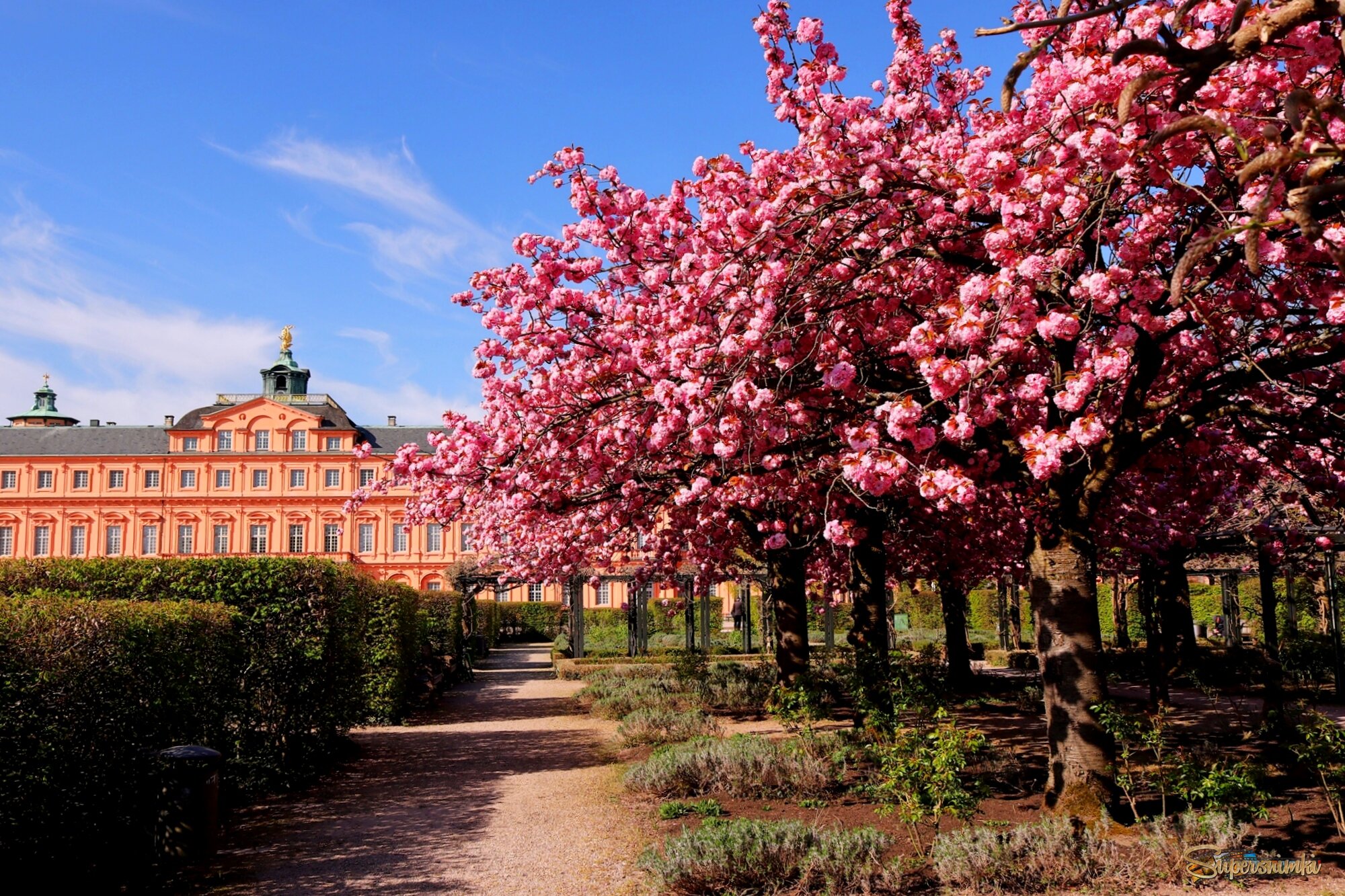 В городе весна