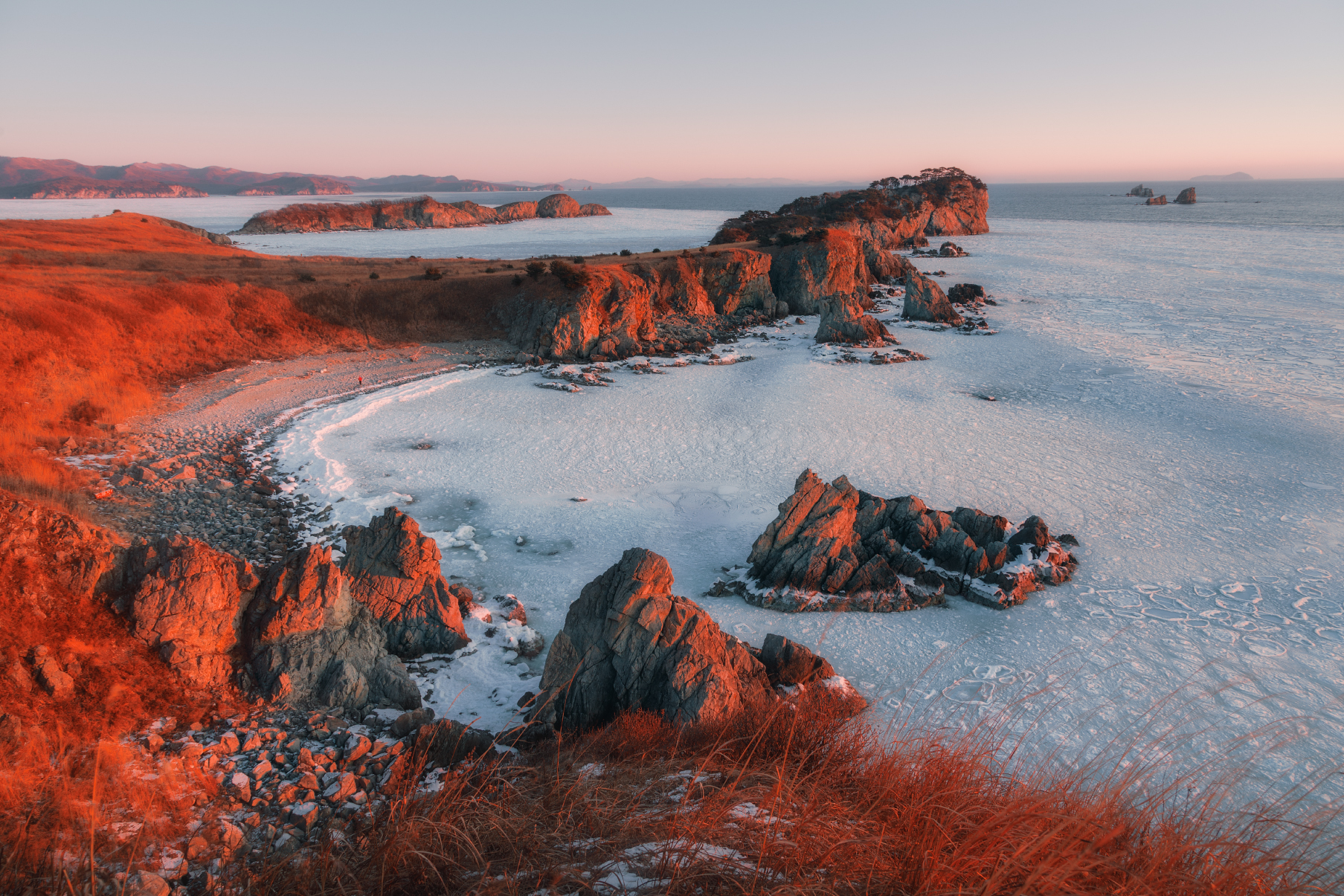 Приморский Годзилла на охоте