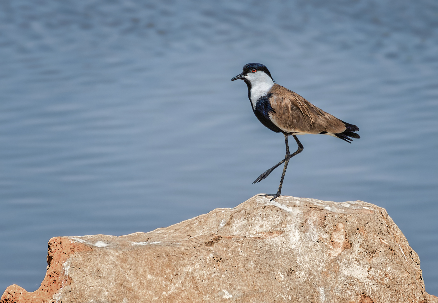 На каменных кораблях :)