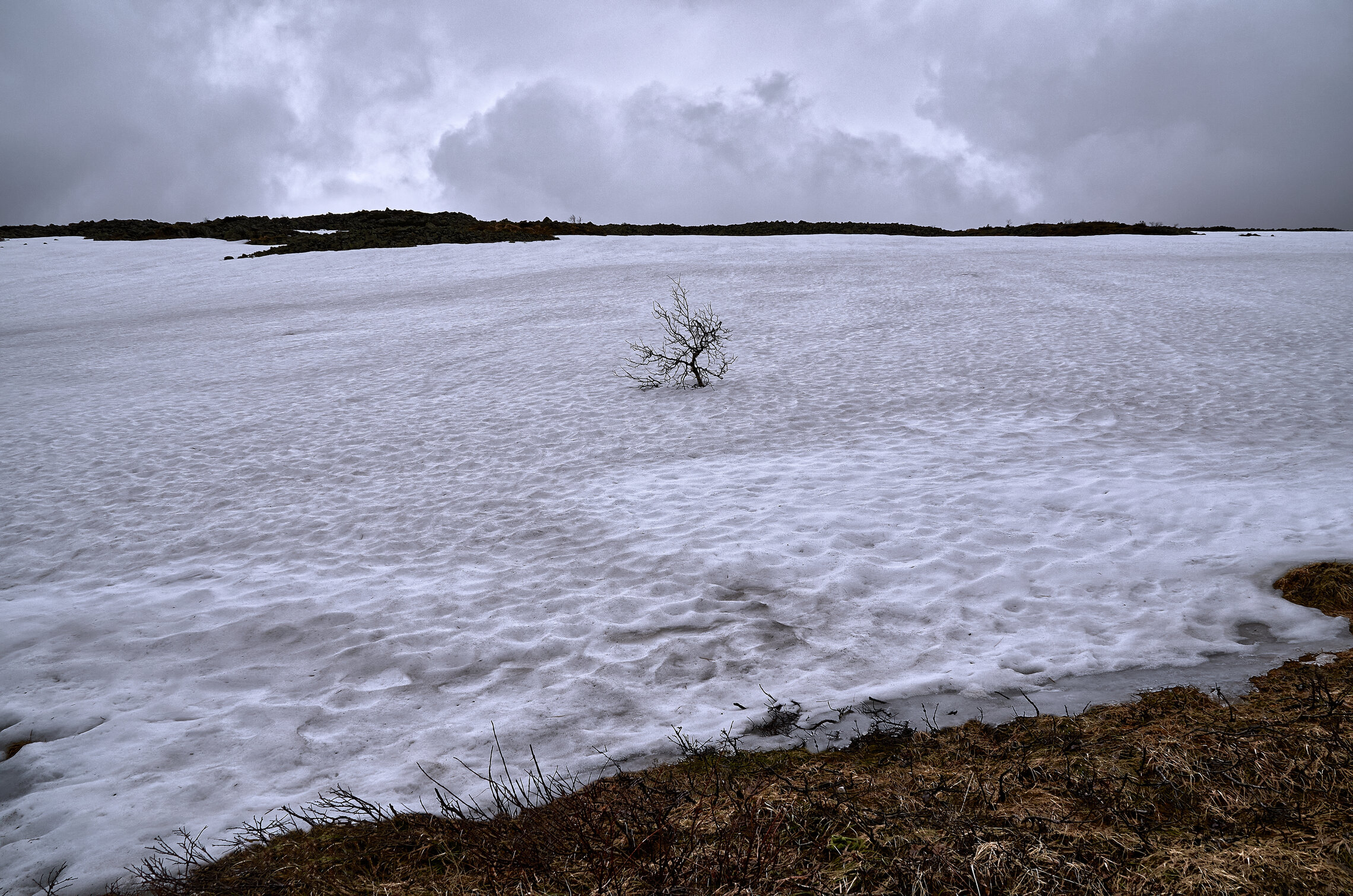 Одиночество.