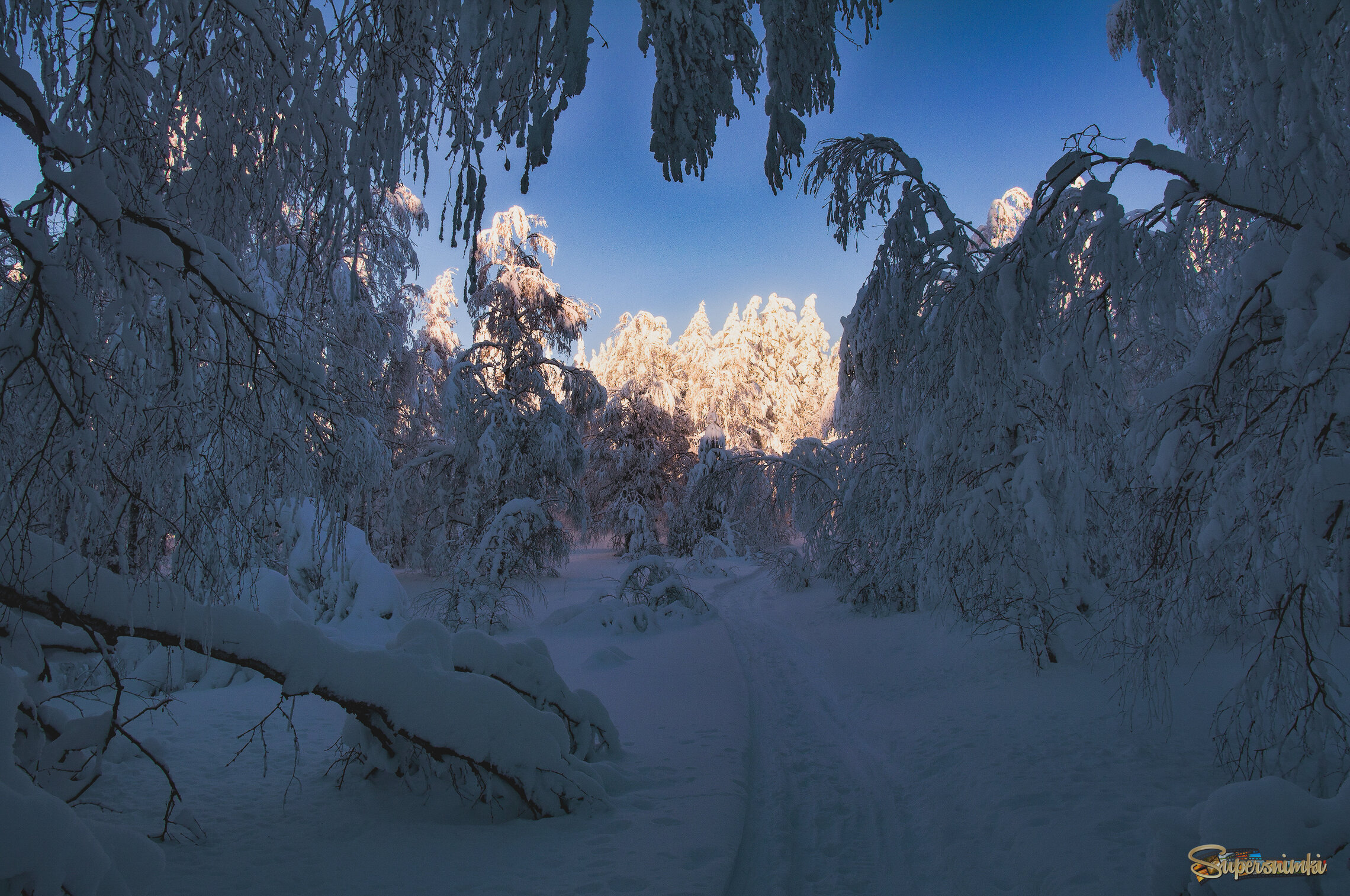 Дорога к свету 