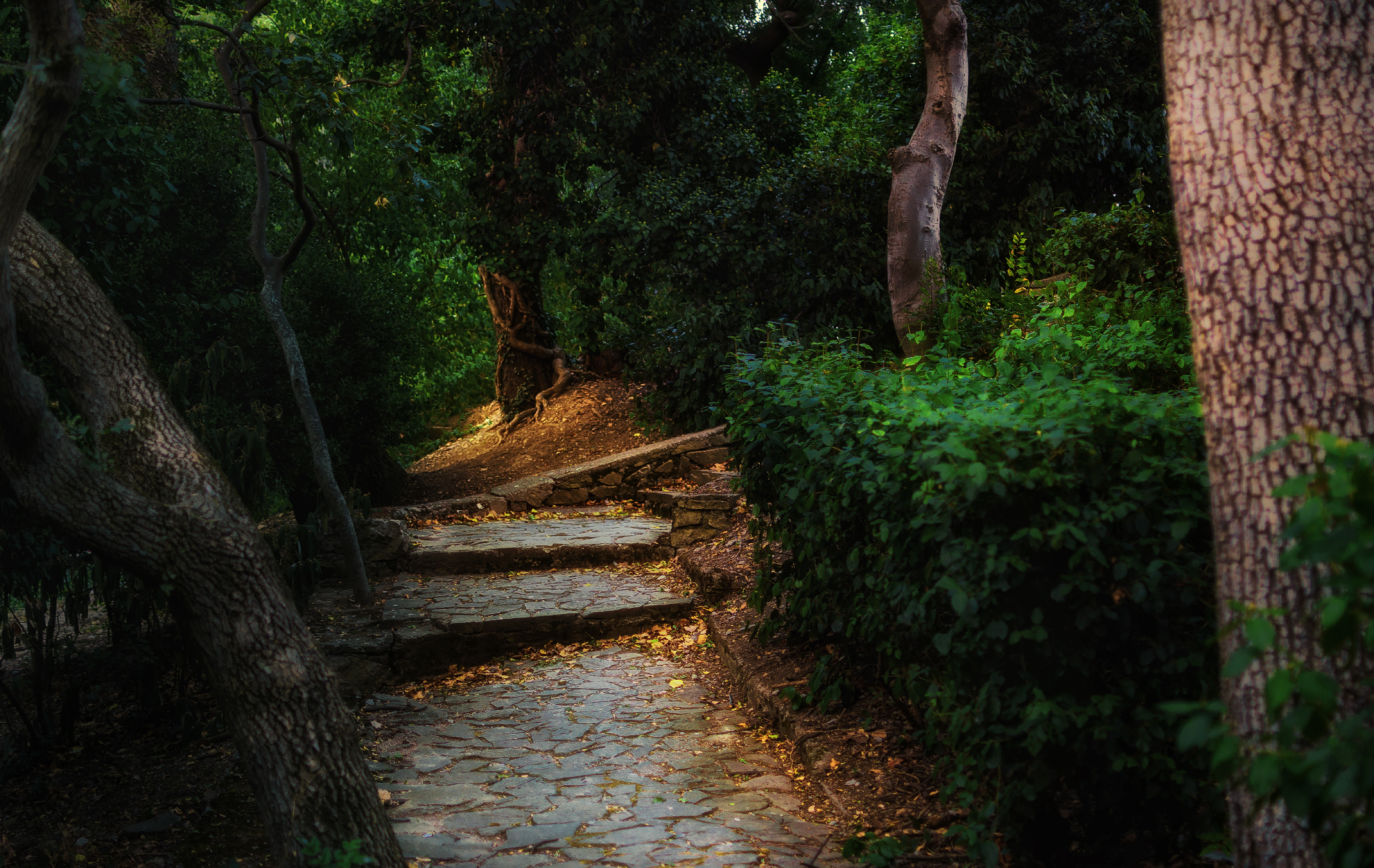 Дорогами Крыма.