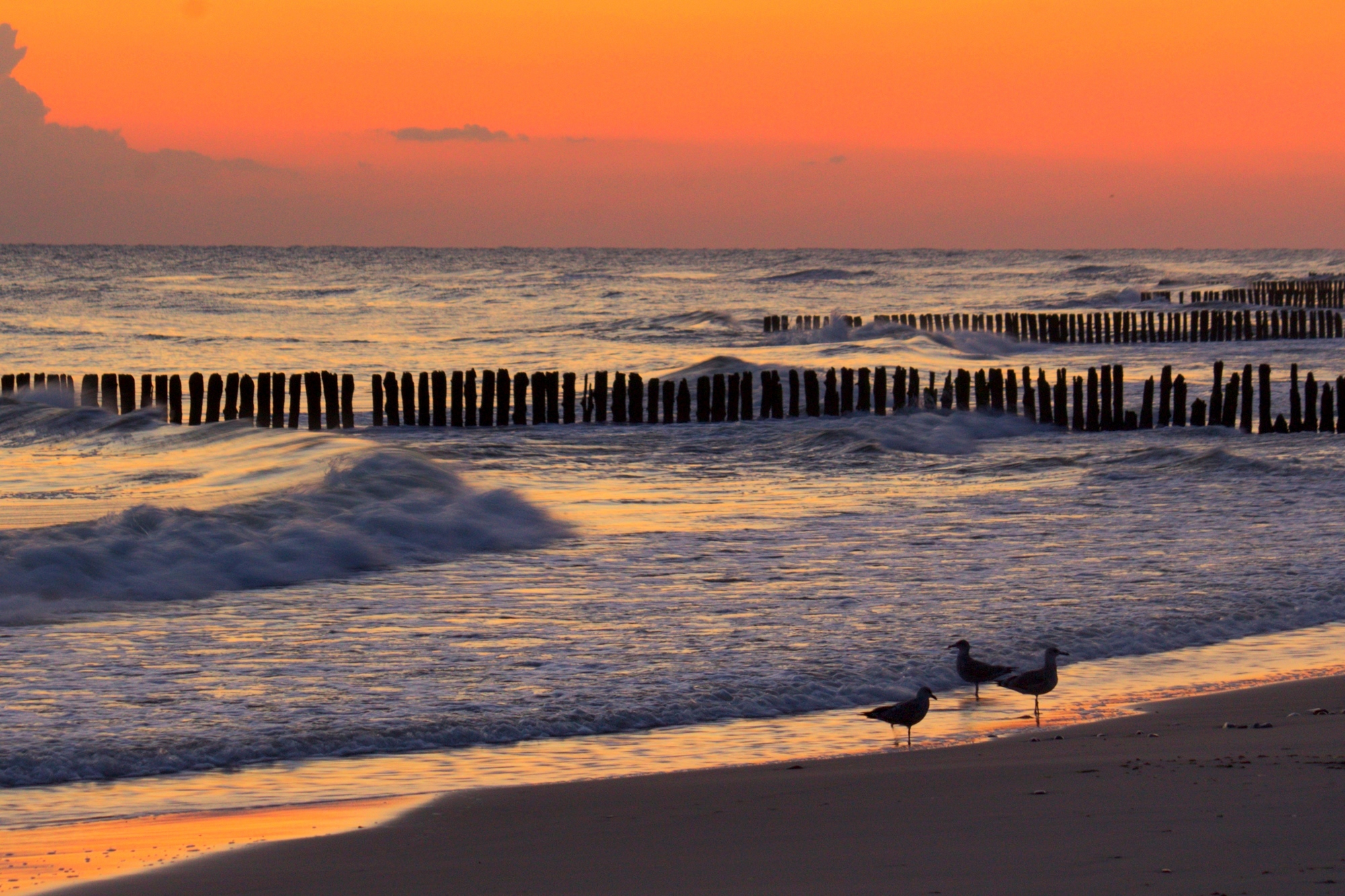 В ожидание солнца
