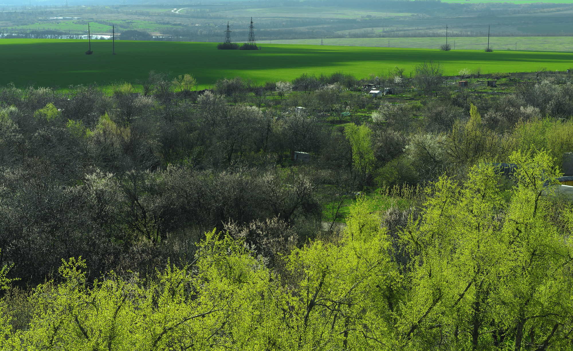 Весна за окном.