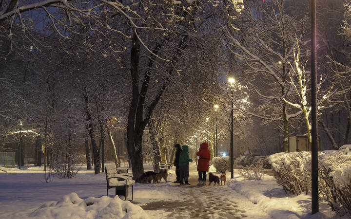 Апрельский Вечер в Городе
