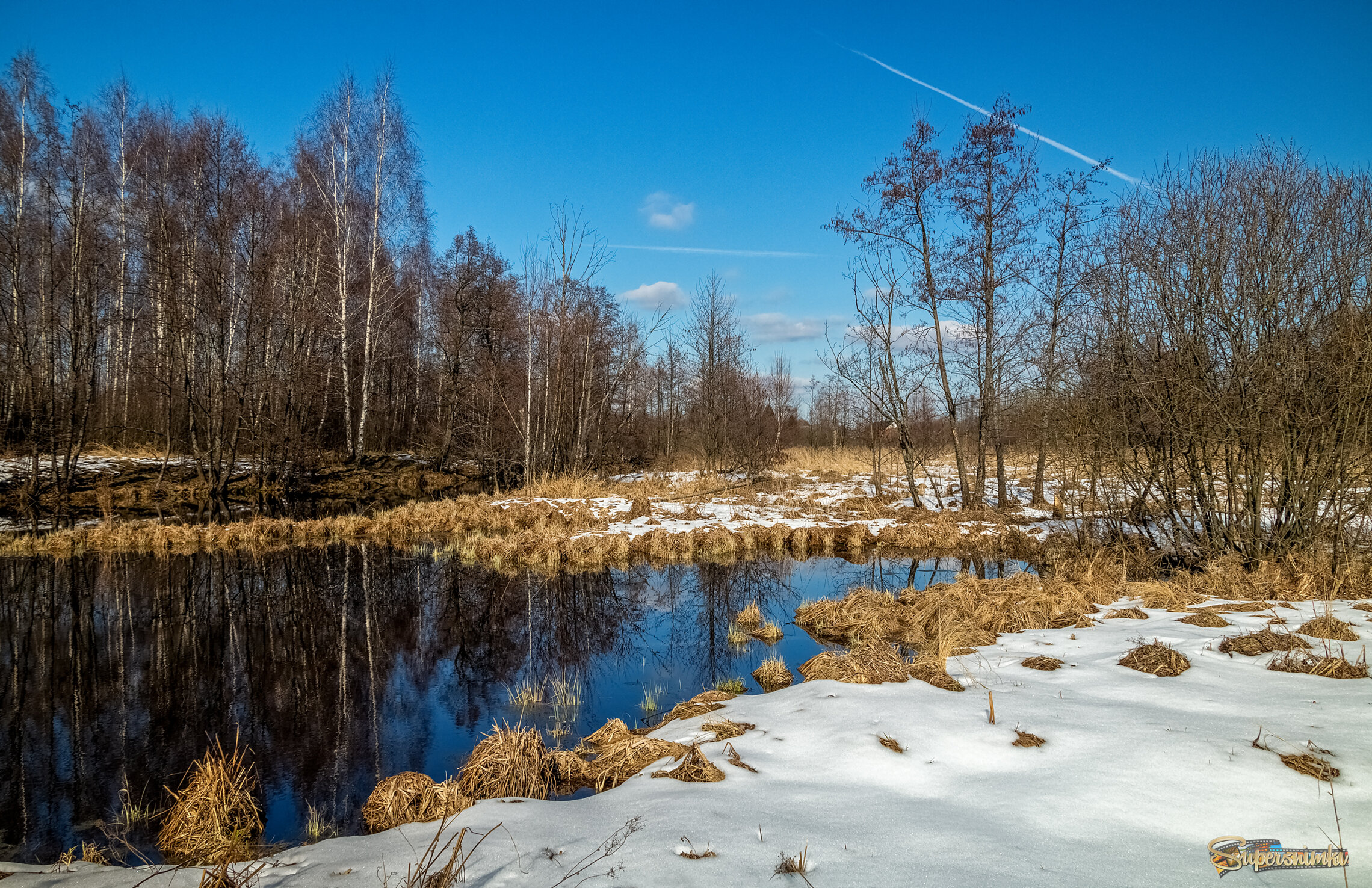 Вербное воскресенье в 2025 году 