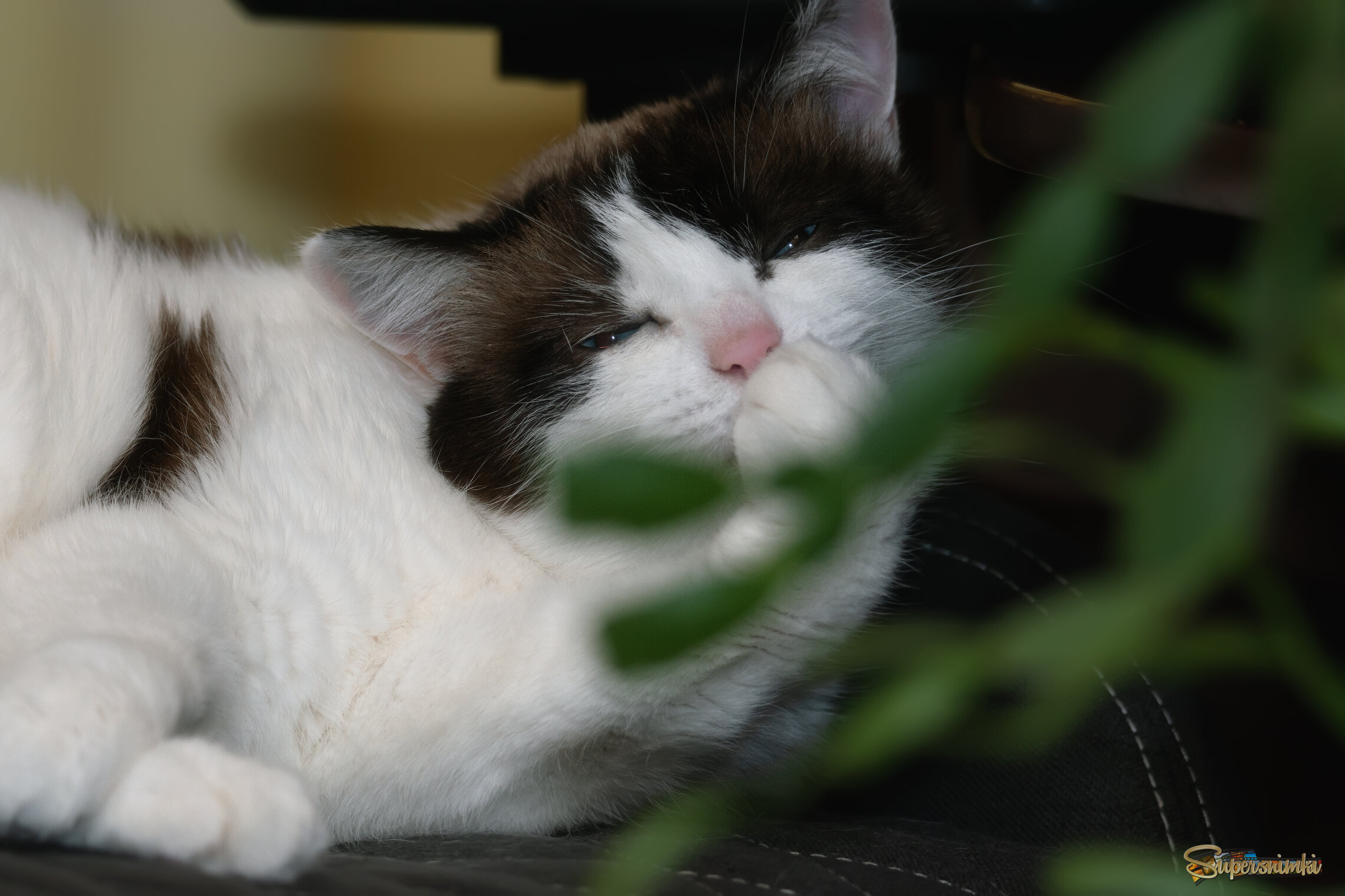 ПОЧТИ В ТРОПИКАХ  )