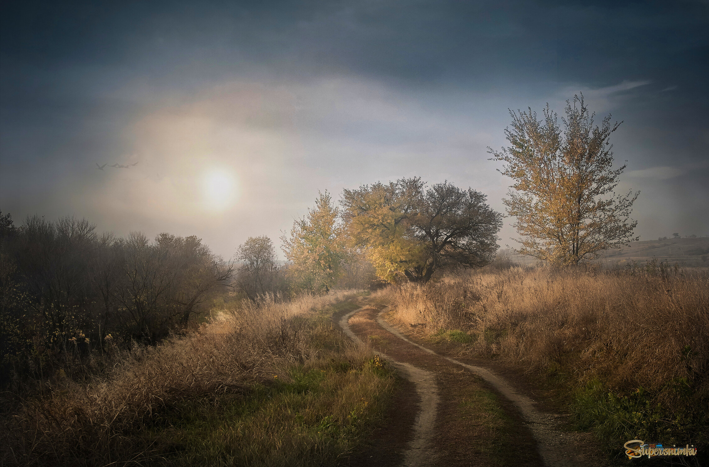 Картина маслом.