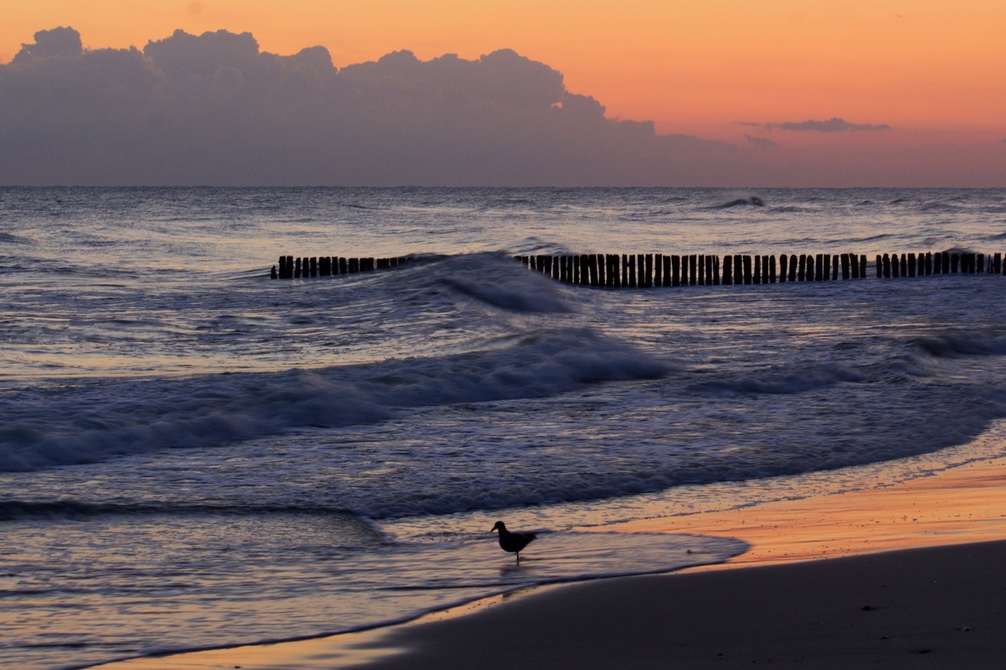 	 Раннее утро