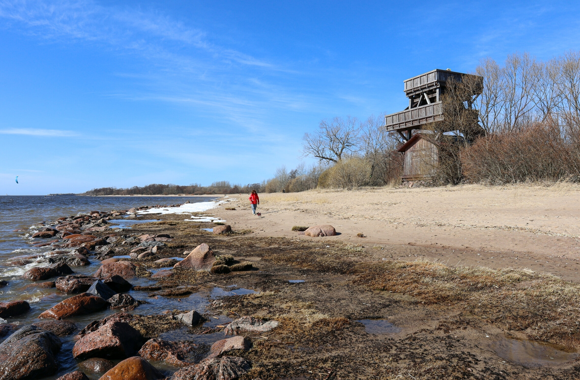 Западный Котлин