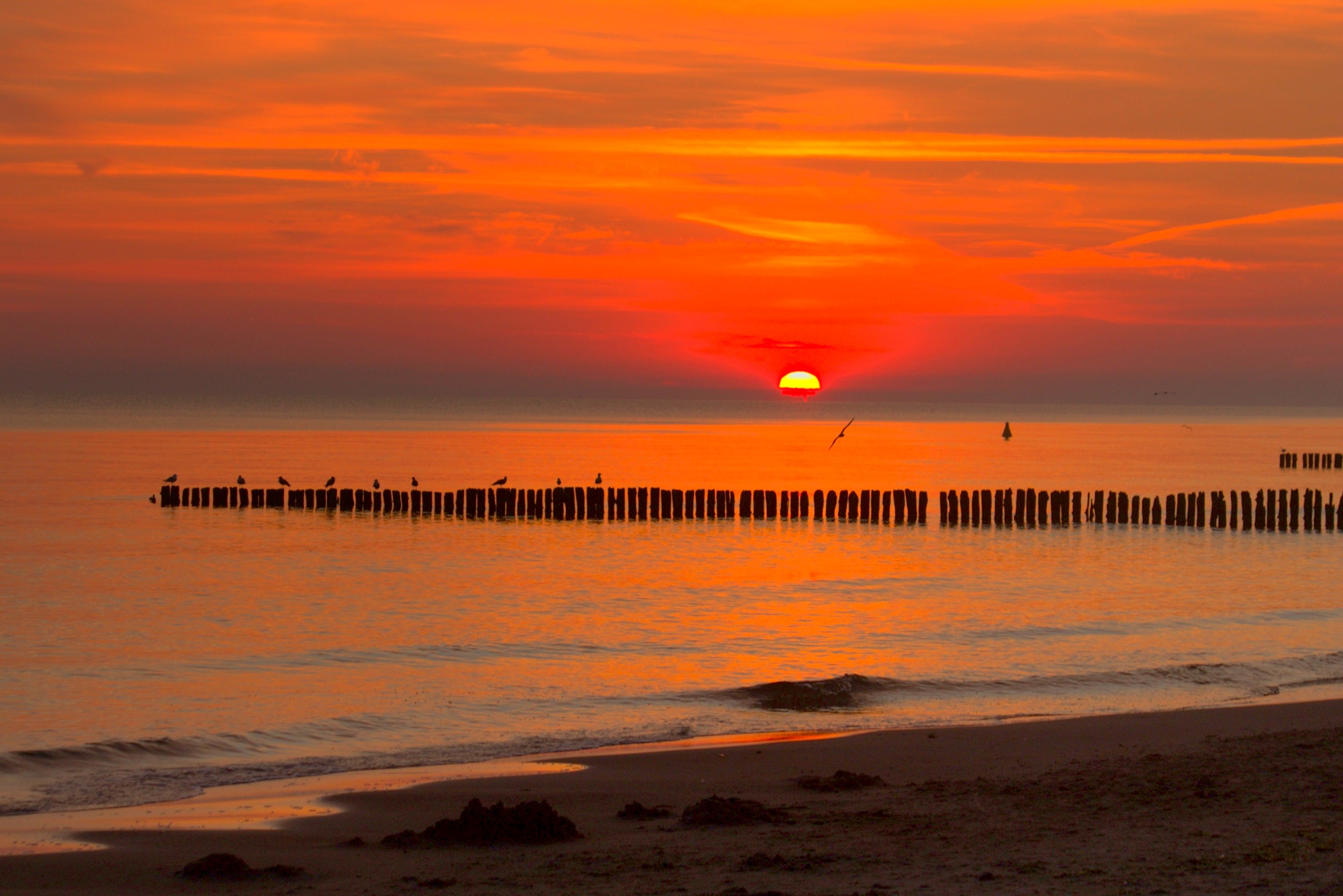 Встречающие