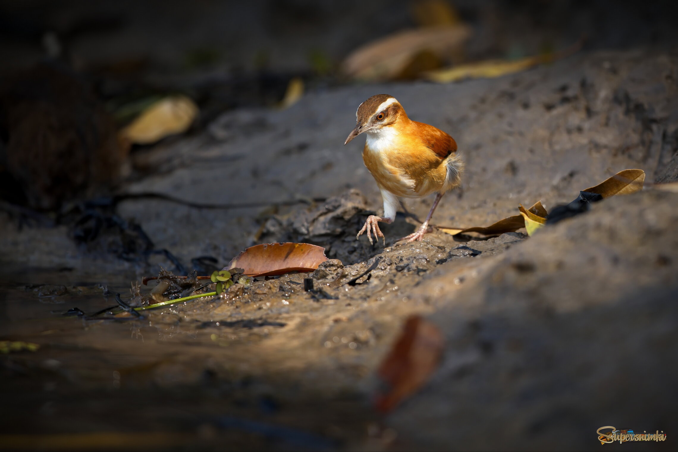 На солнышке веселее!