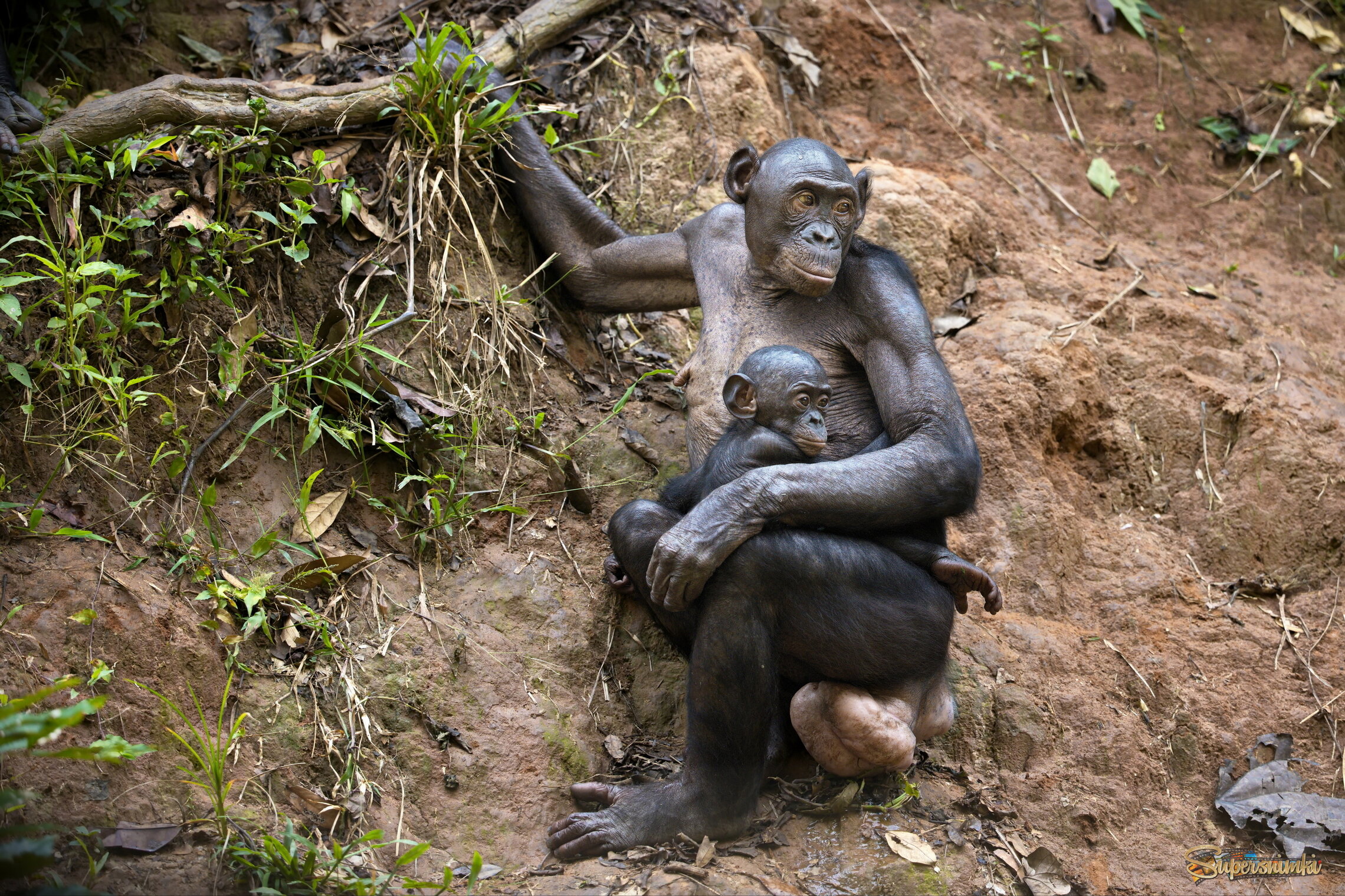 Удобно, когда табуретка всегда с собой!