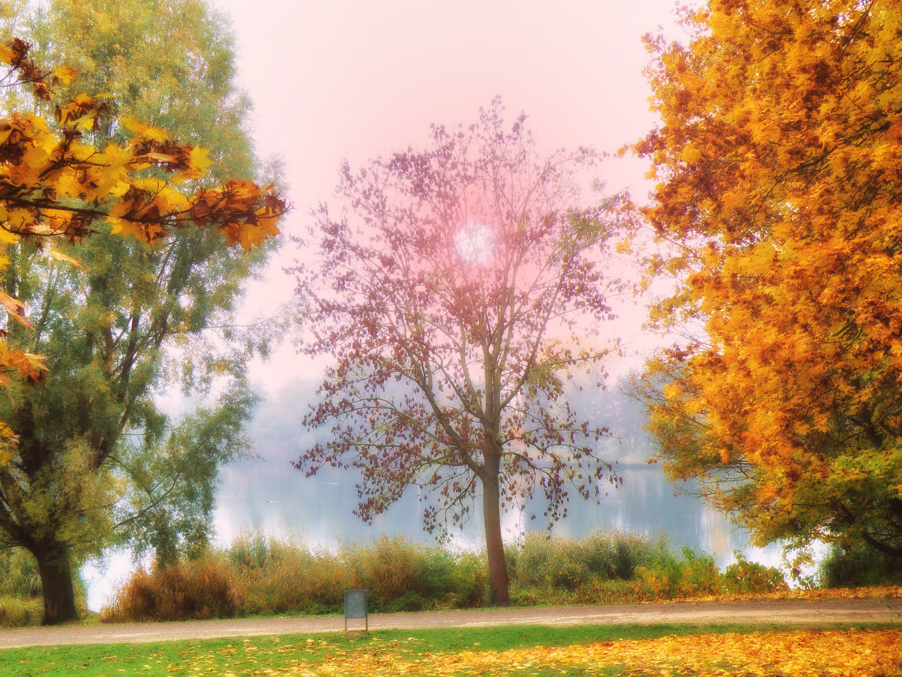 67ff706a3ebc35b276d6398c