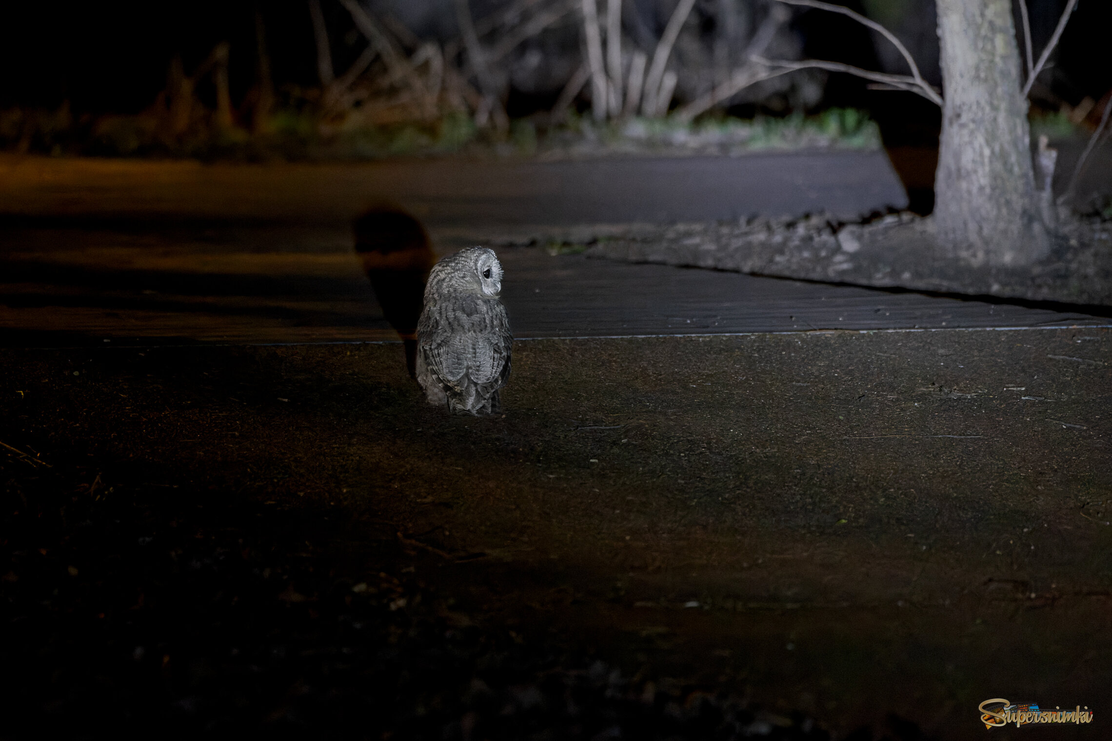 Время для охоты.