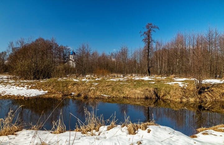 Вербное воскресенье в 2025 году 5 