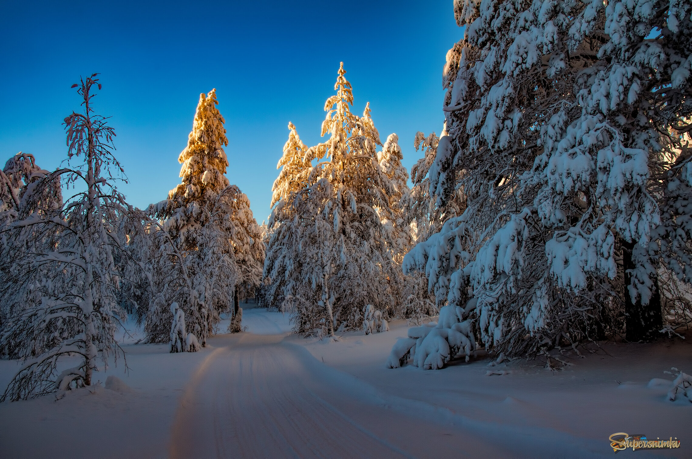 6800a1b2af044da87cd6398e