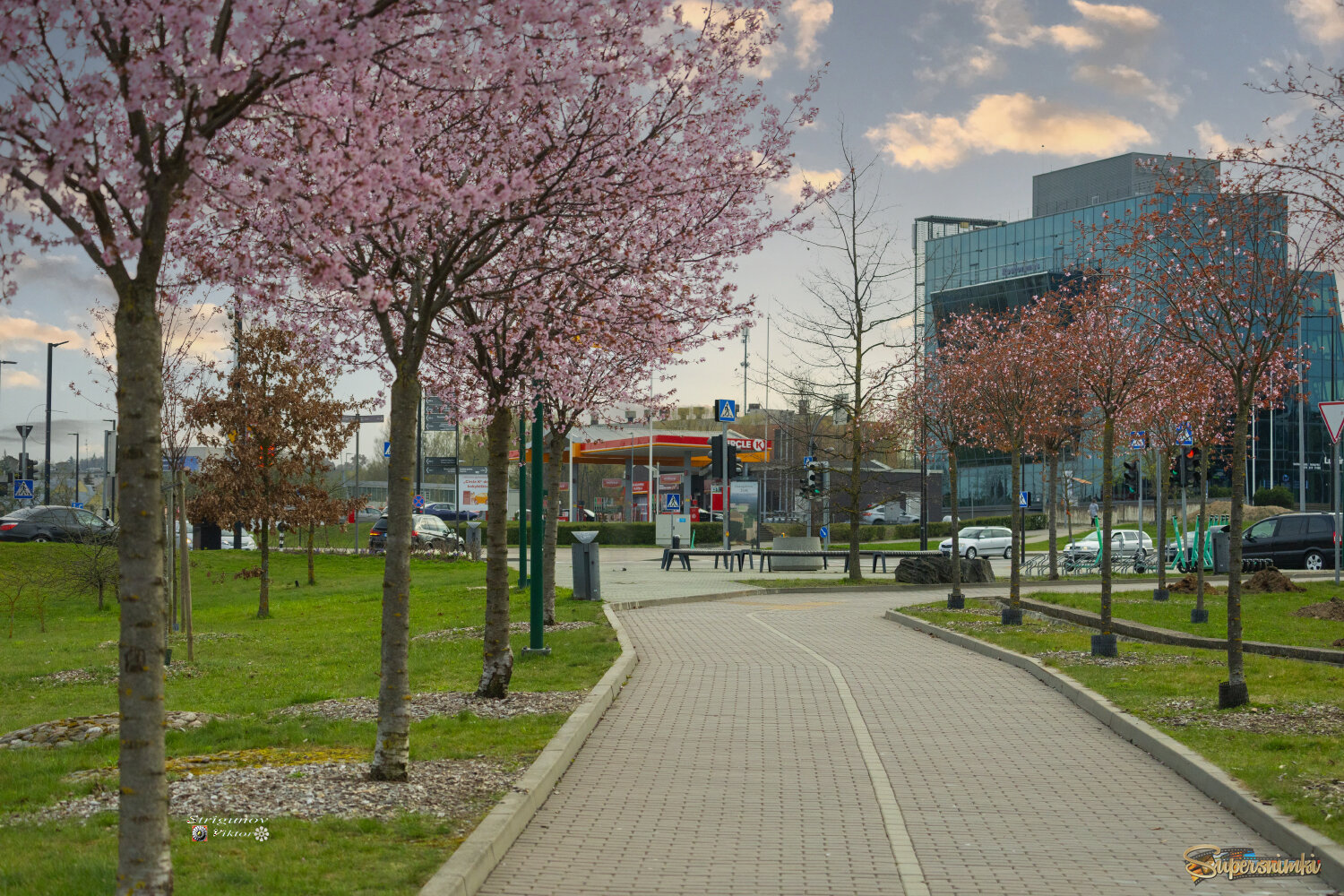 Один из весенних теплых дней.