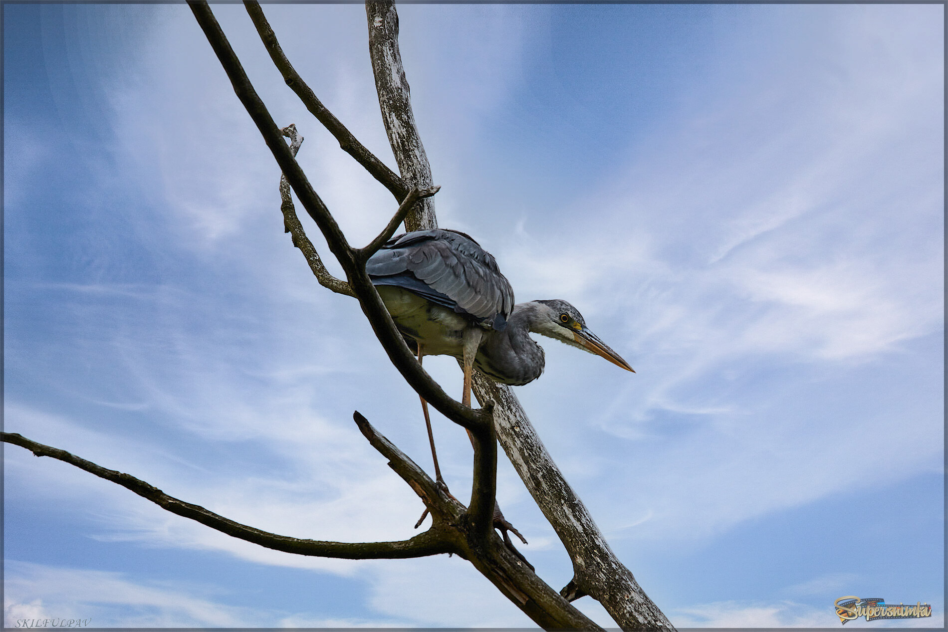 Мы встретились взглядами...