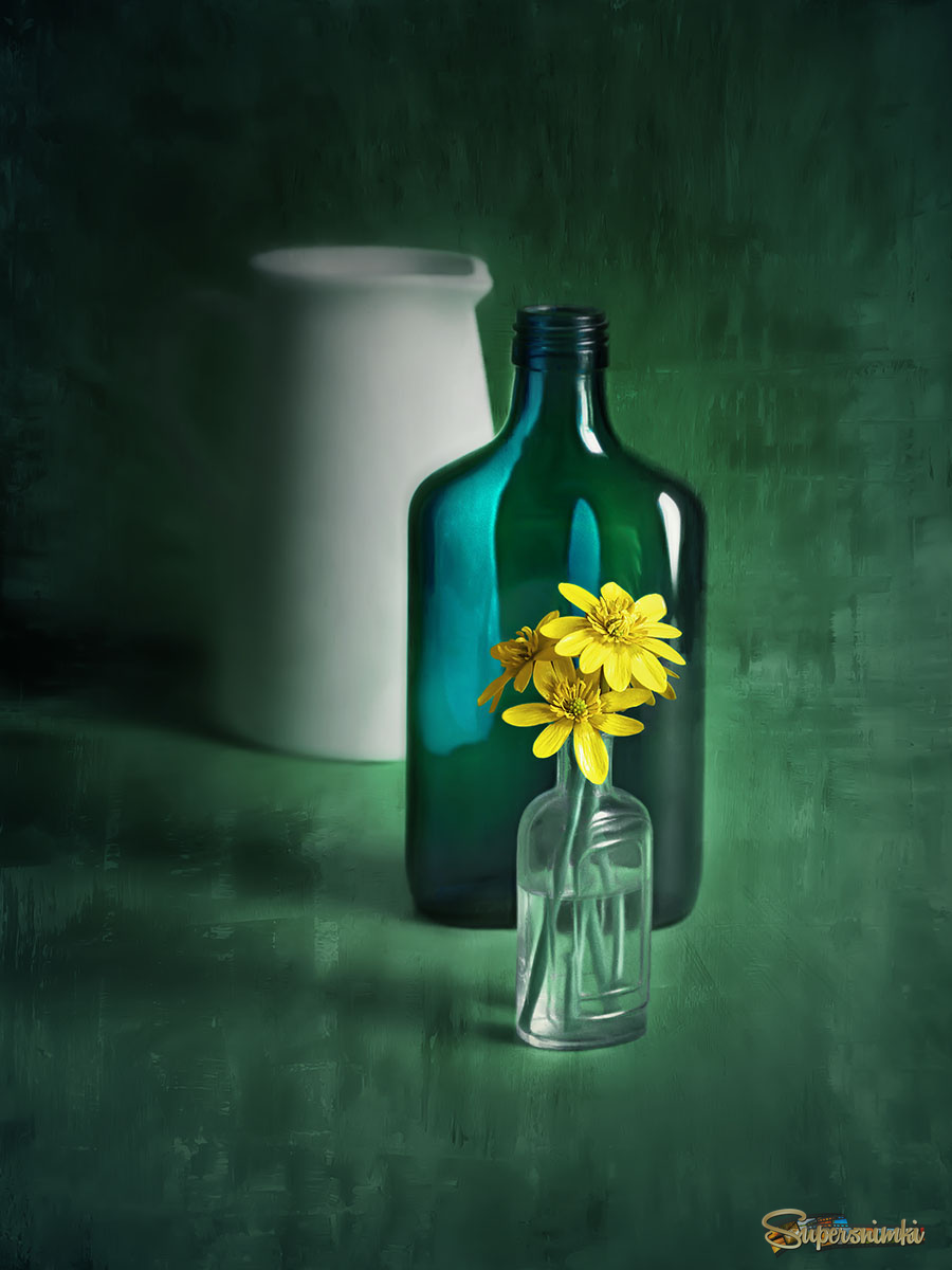 мои первоцветы