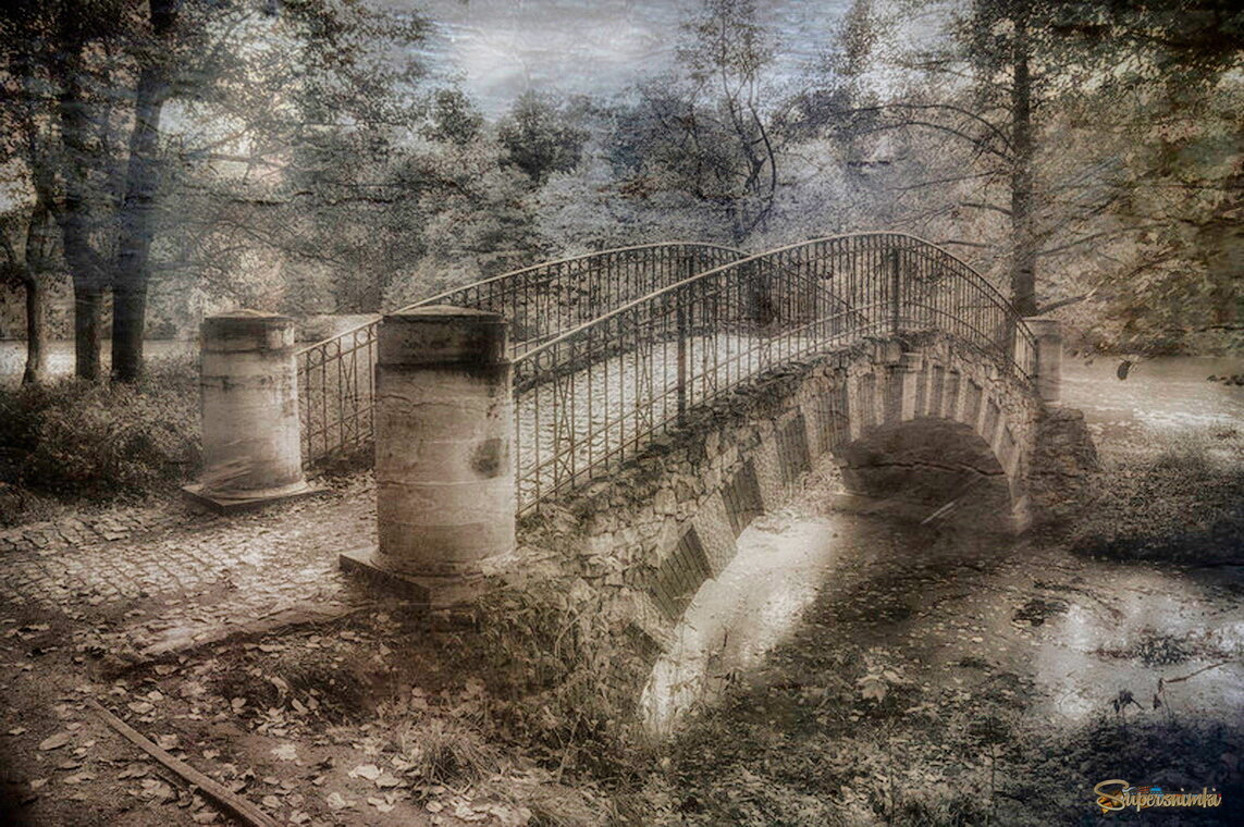 Мостик в Кузьминках