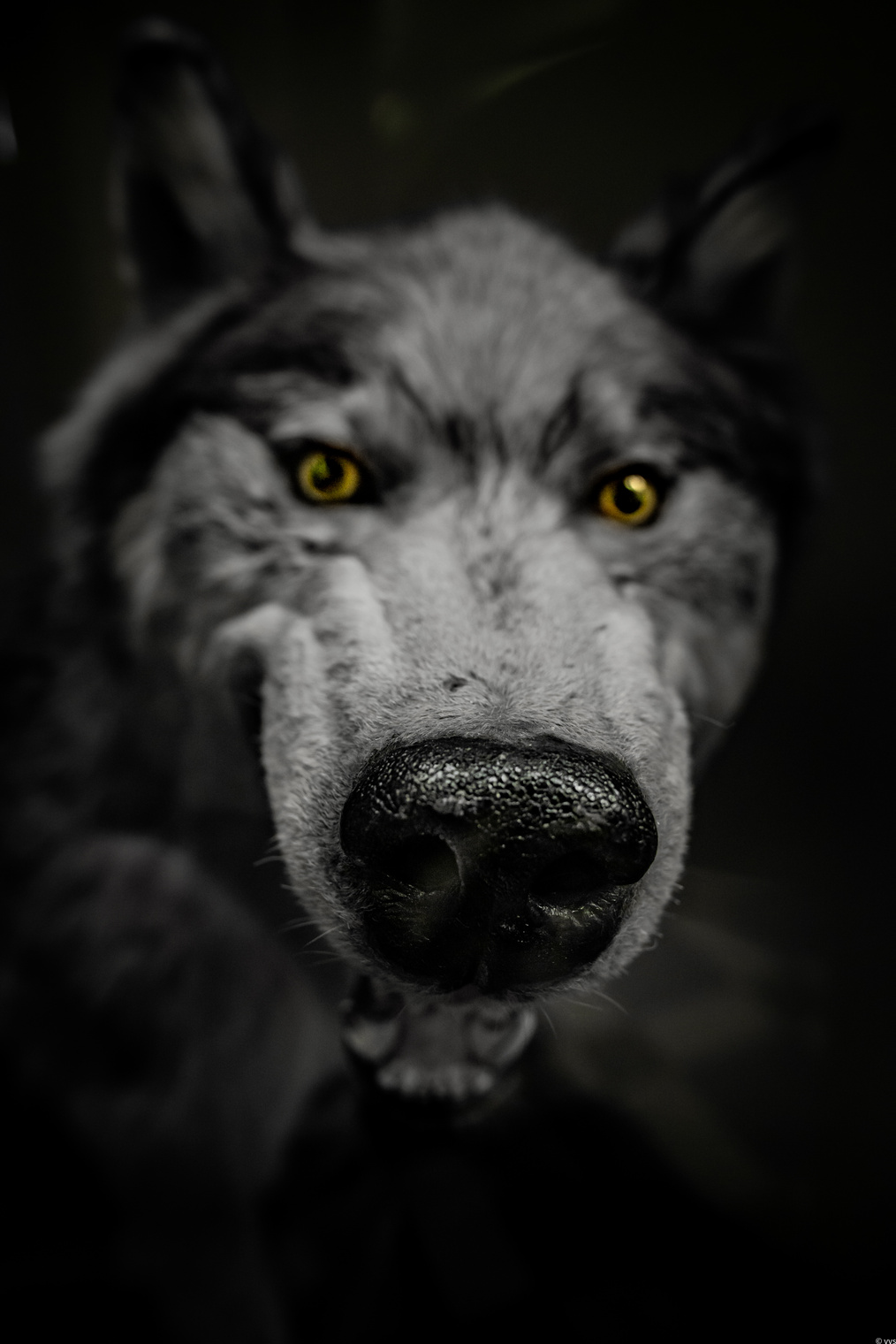 "Ты заходи, если что"