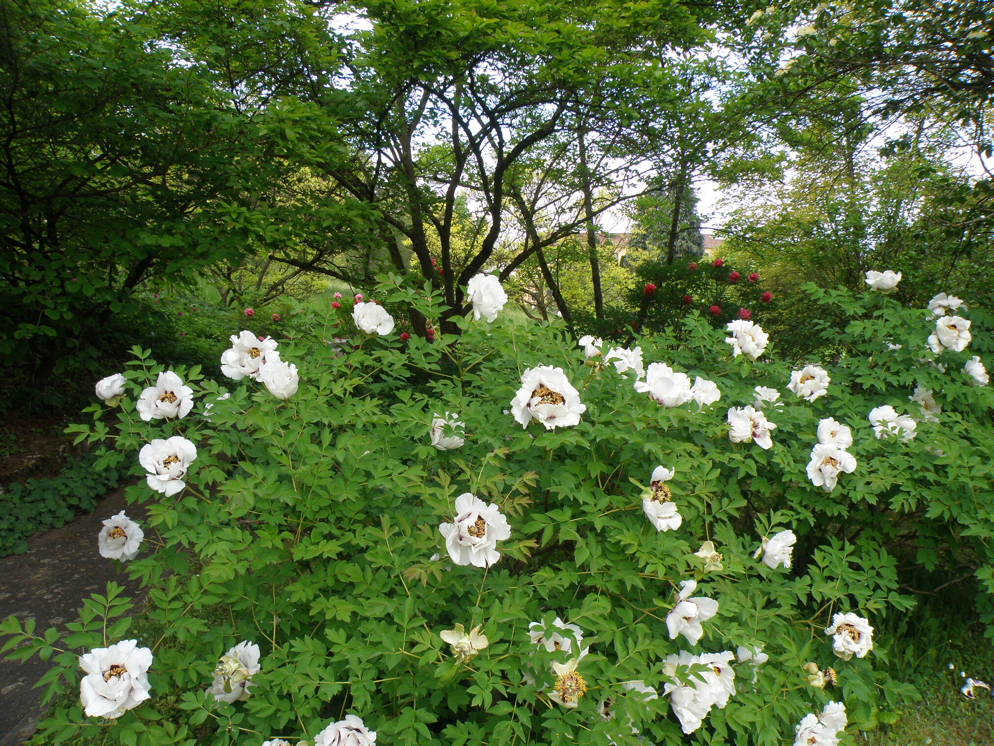 6803864cd76a151e5ed63992