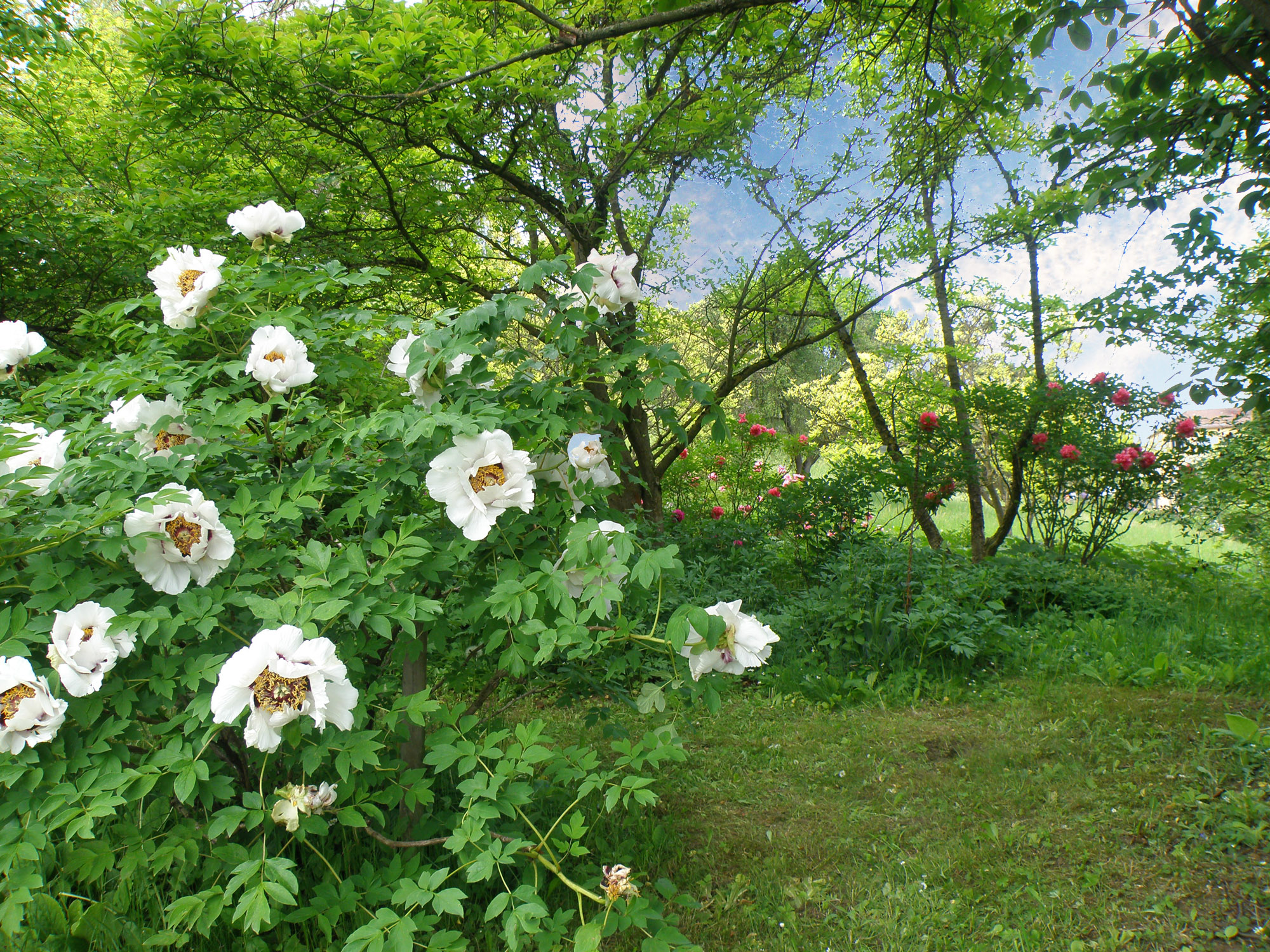 68049feb10b0ff8824d63995